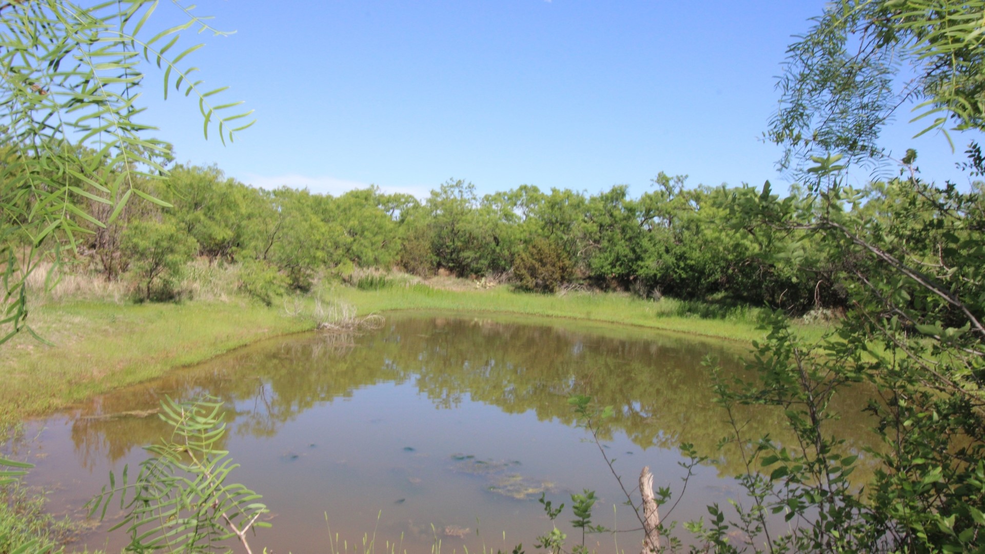 525 County Road 310, Abilene, TX, 79606