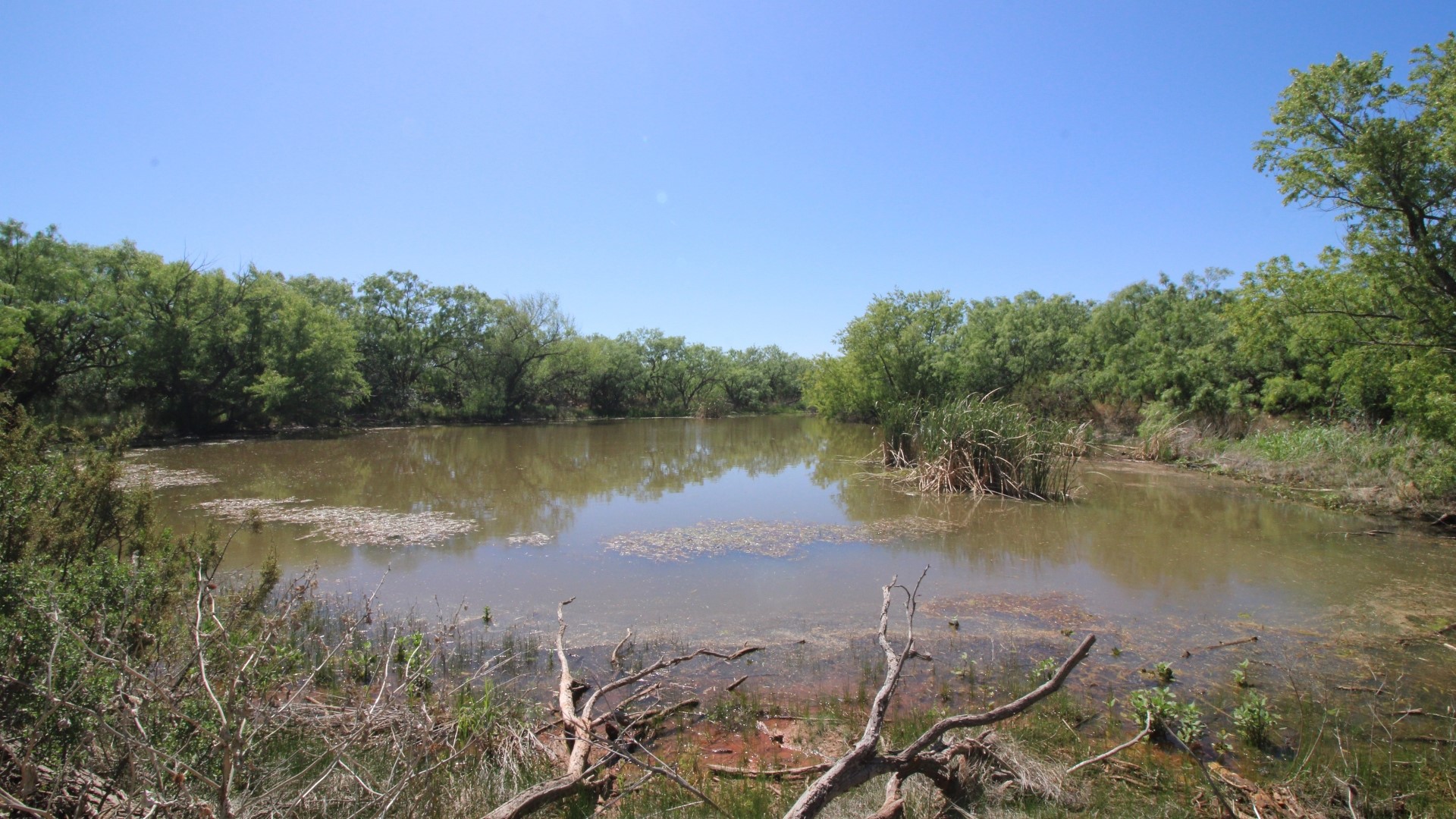 525 County Road 310, Abilene, TX, 79606