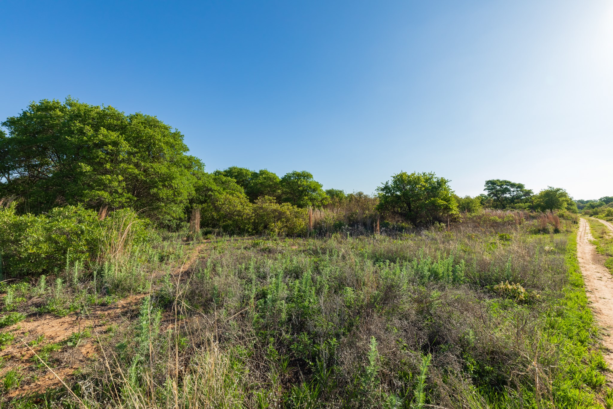 TBD Private Road 705, Anson, TX, 79501