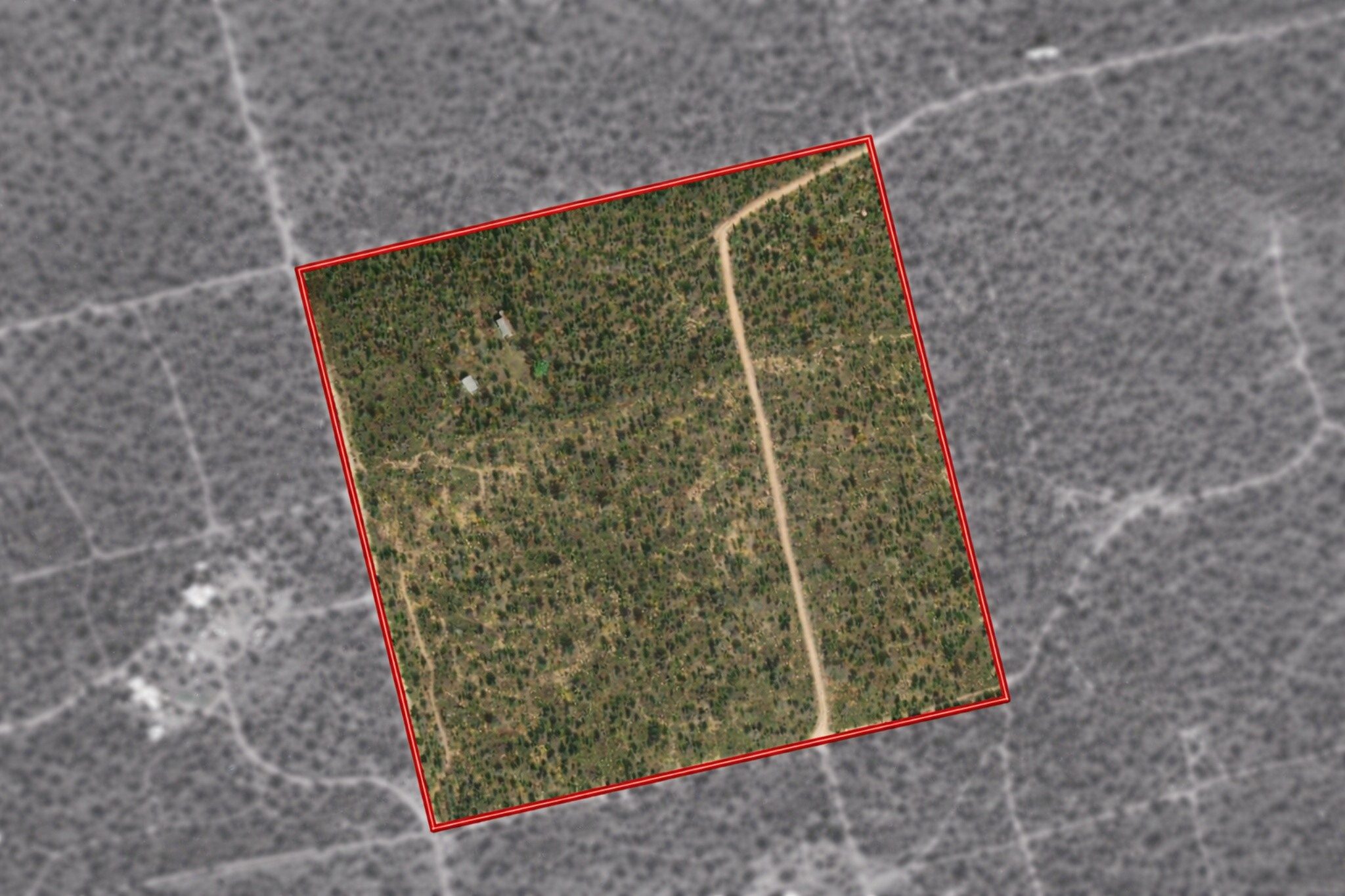 TBD Private Road 705, Anson, TX, 79501