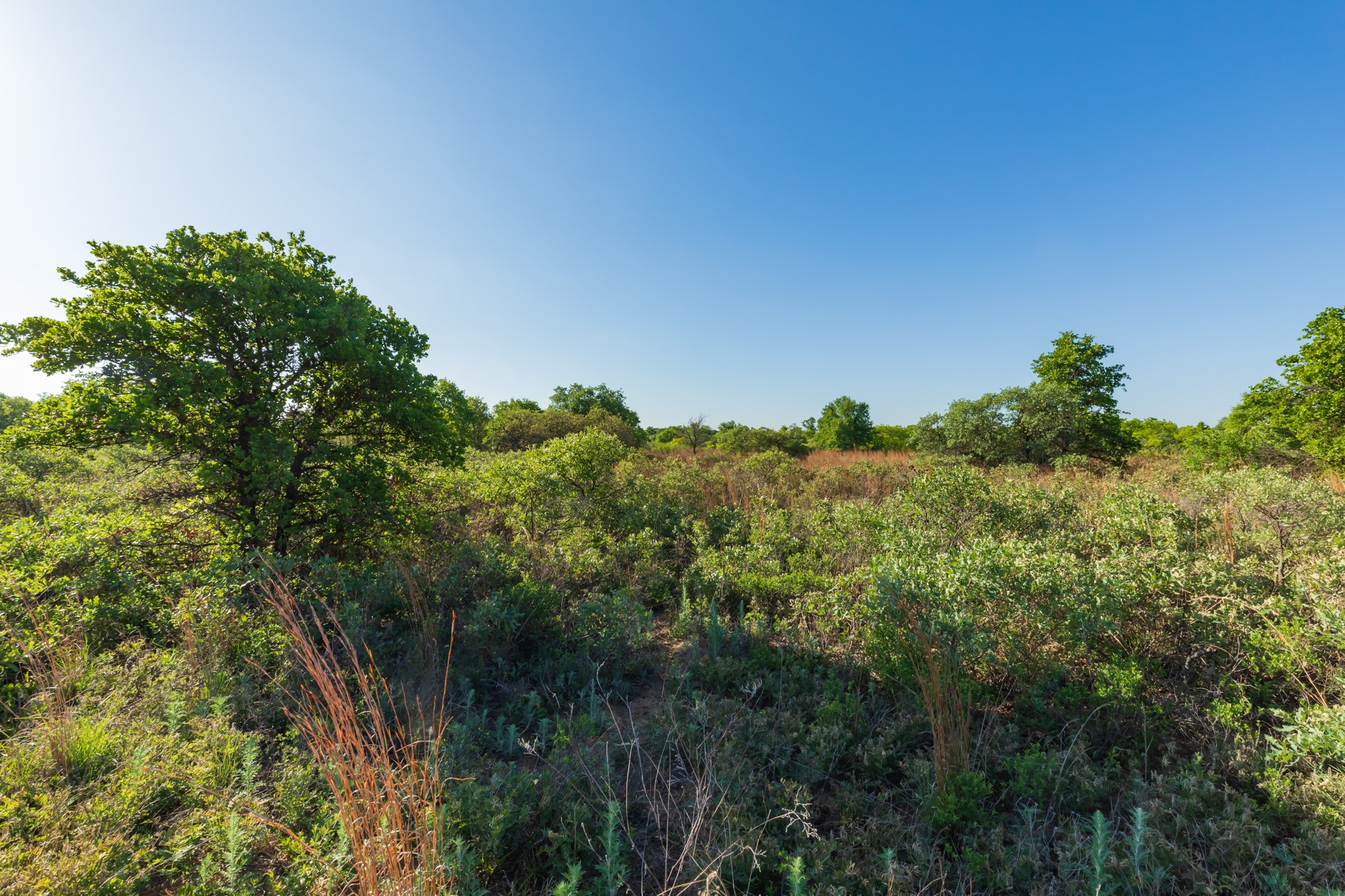 TBD Private Road 705, Anson, TX, 79501