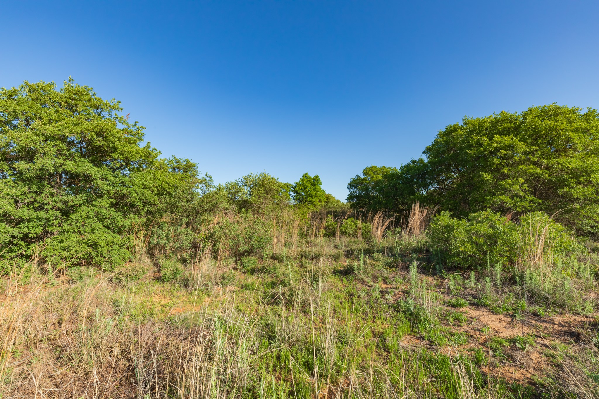 TBD Private Road 705, Anson, TX, 79501