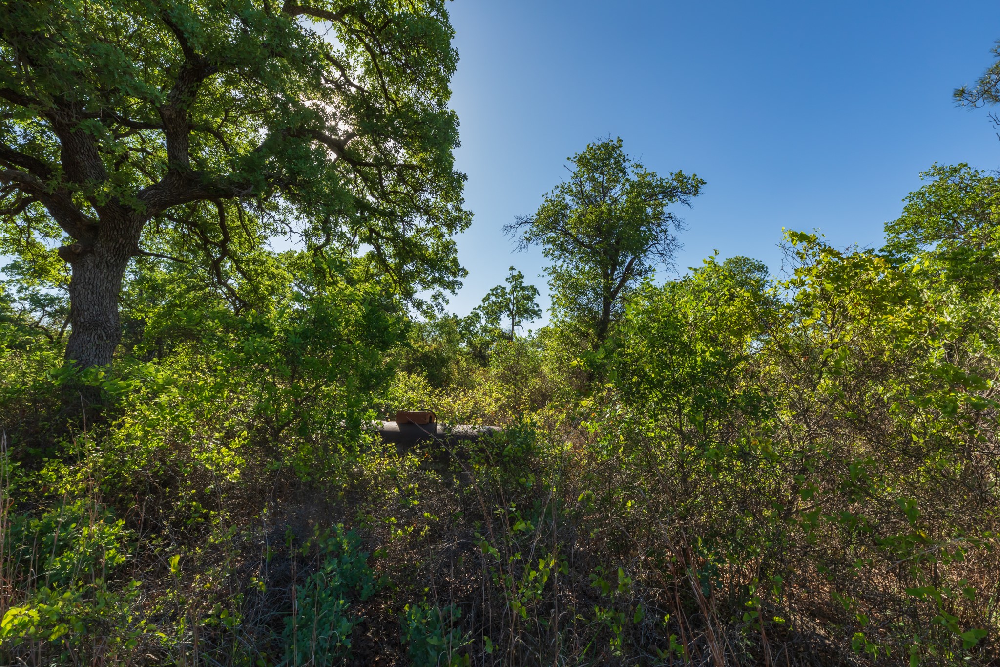 TBD Private Road 705, Anson, TX, 79501