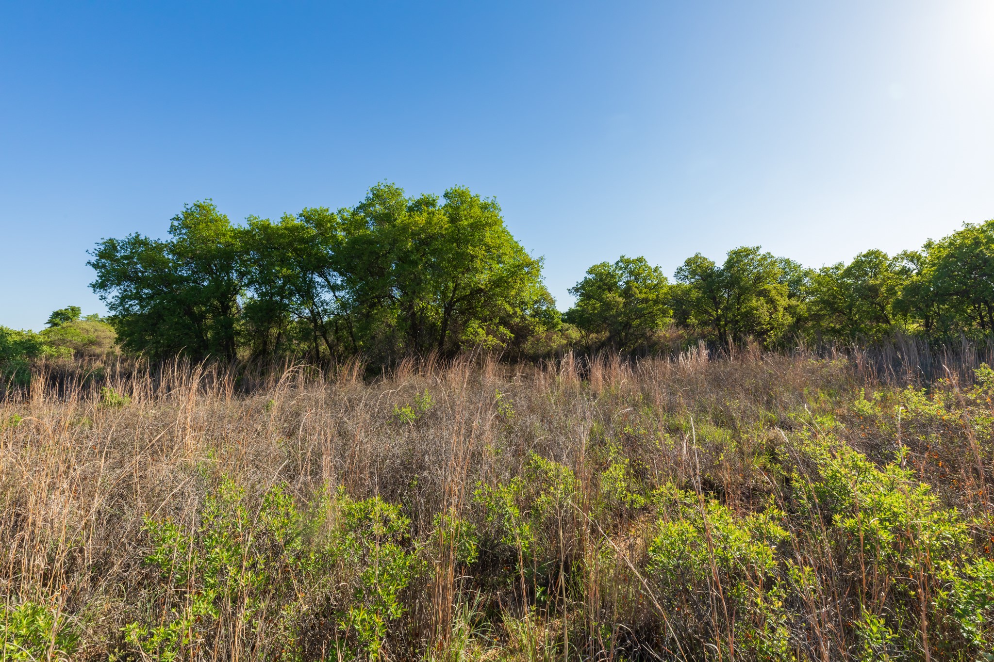 TBD Private Road 705, Anson, TX, 79501