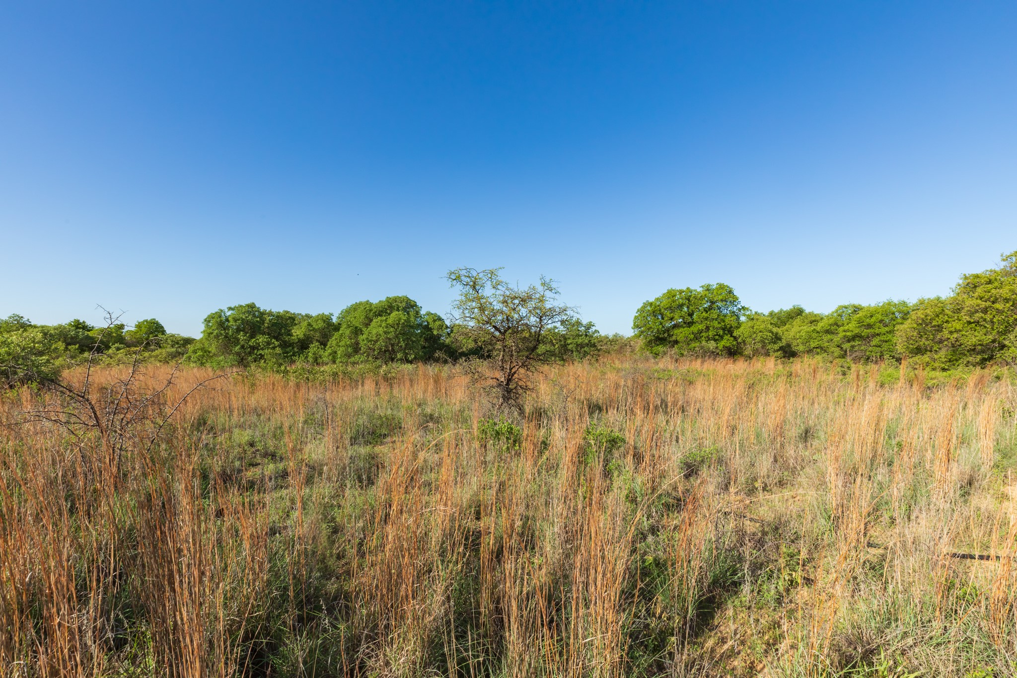 TBD Private Road 705, Anson, TX, 79501