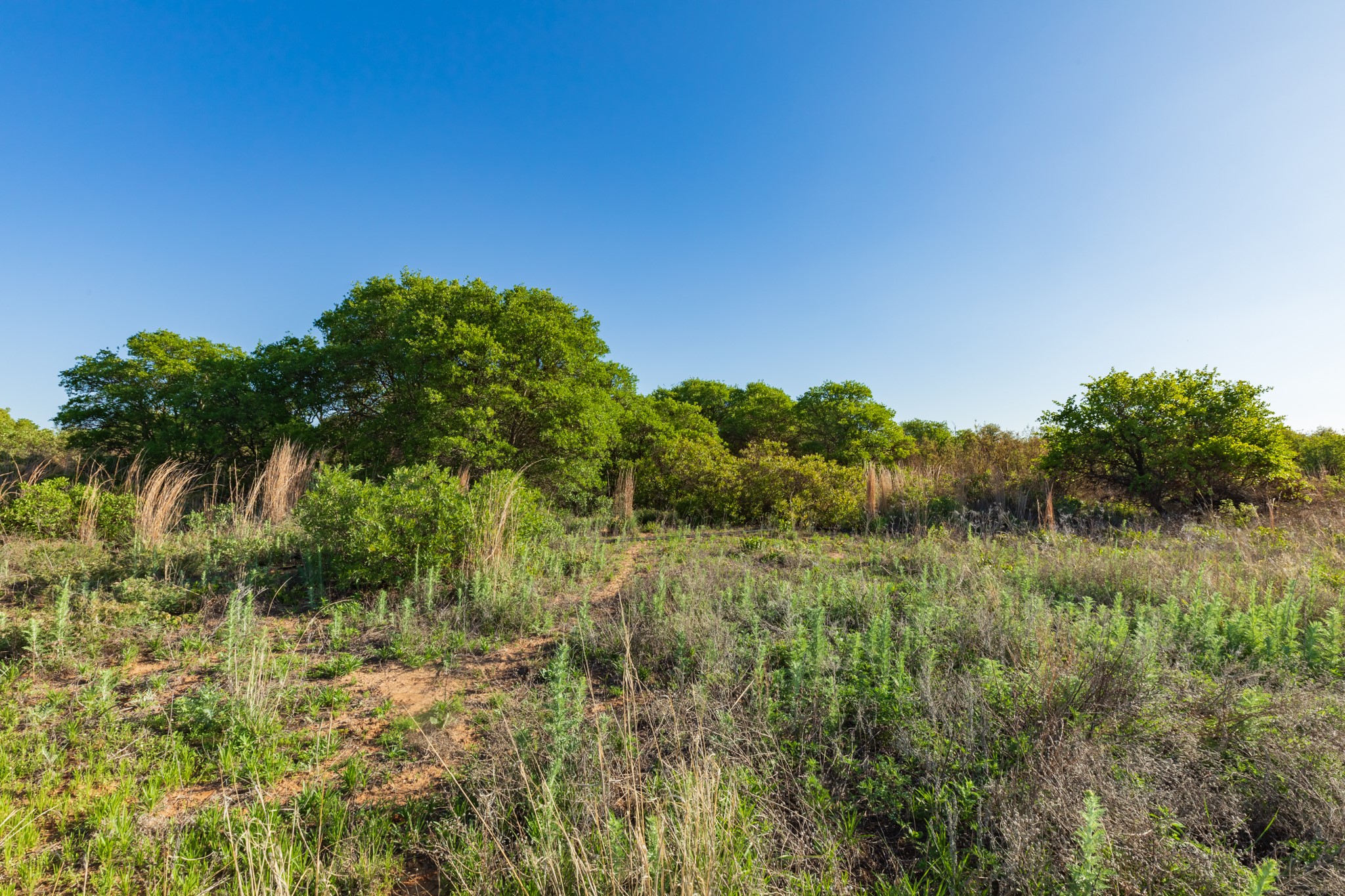 TBD Private Road 705, Anson, TX, 79501