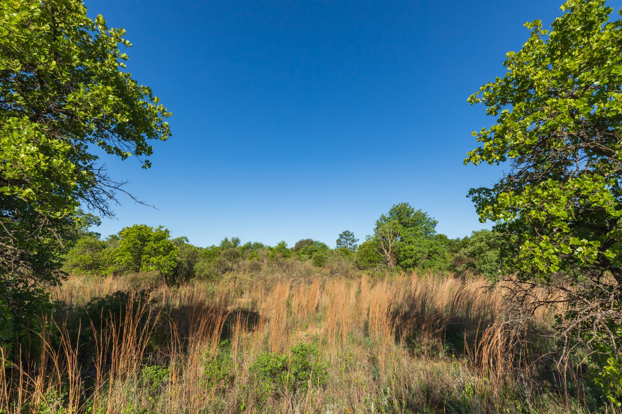 TBD Private Road 705, Anson, TX, 79501