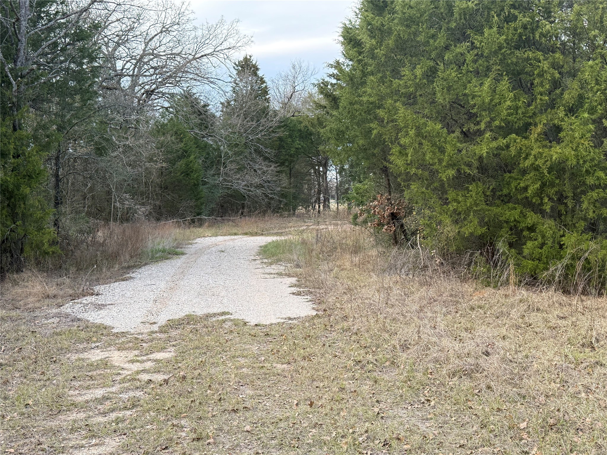 10230 PR 5403, Malakoff, TX, 75148