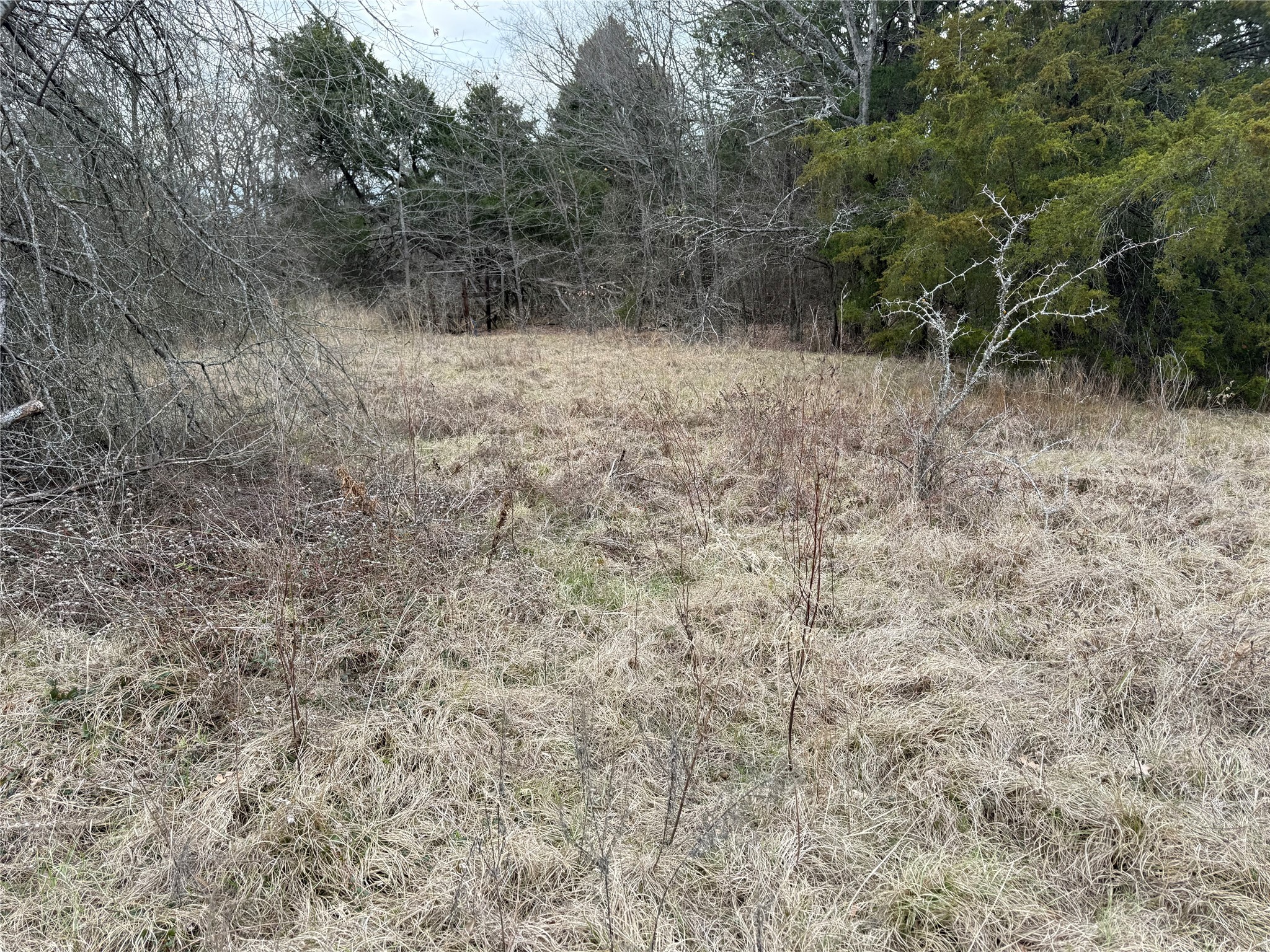 10230 PR 5403, Malakoff, TX, 75148