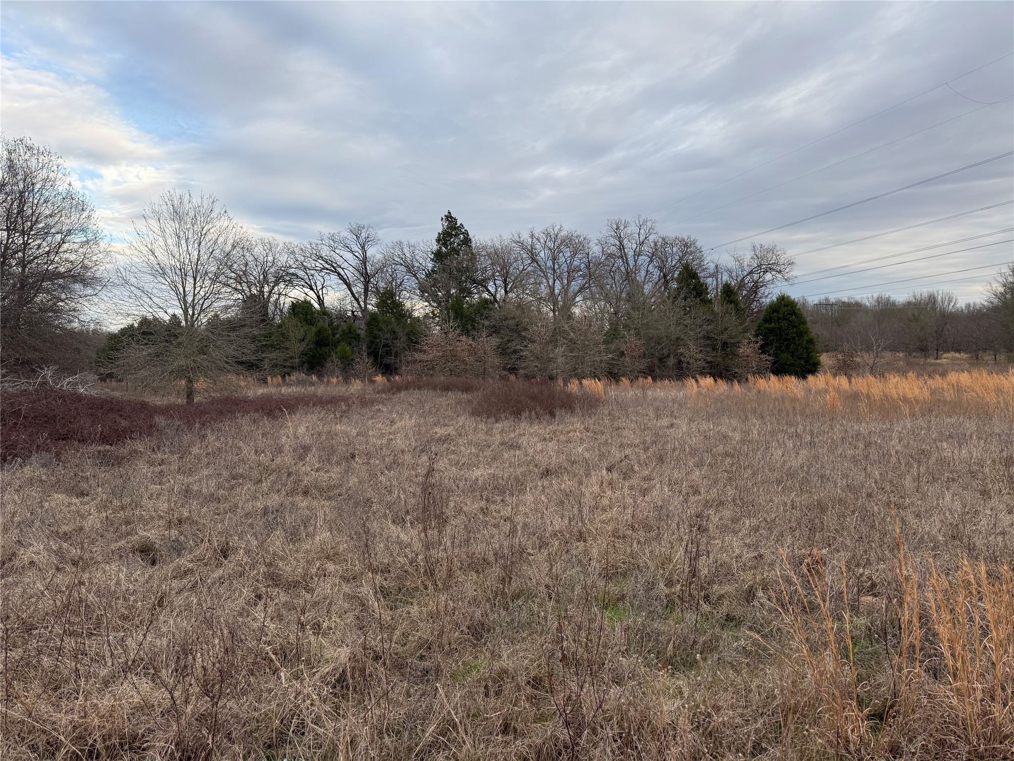 10230 PR 5403, Malakoff, TX, 75148