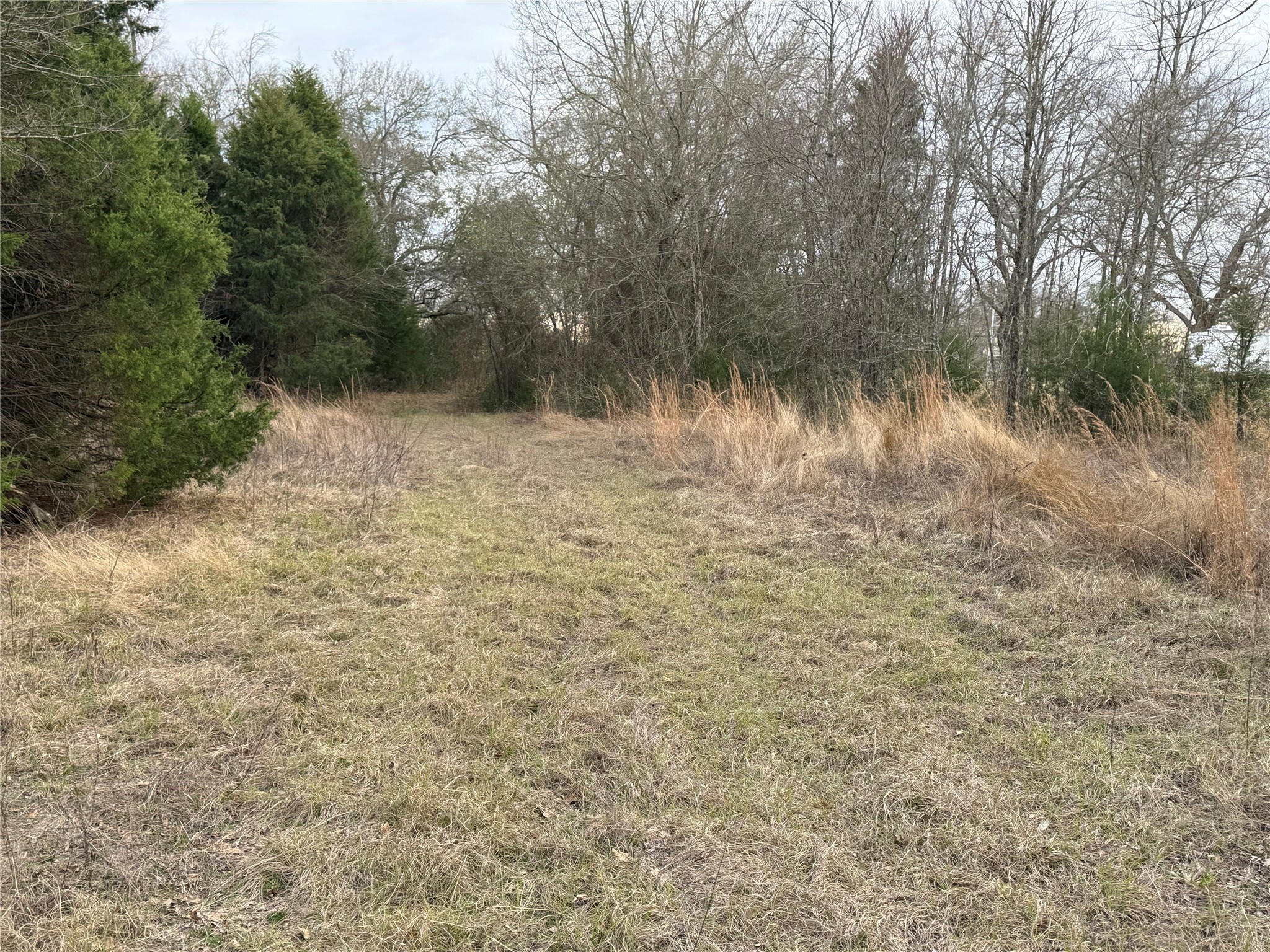 10230 PR 5403, Malakoff, TX, 75148