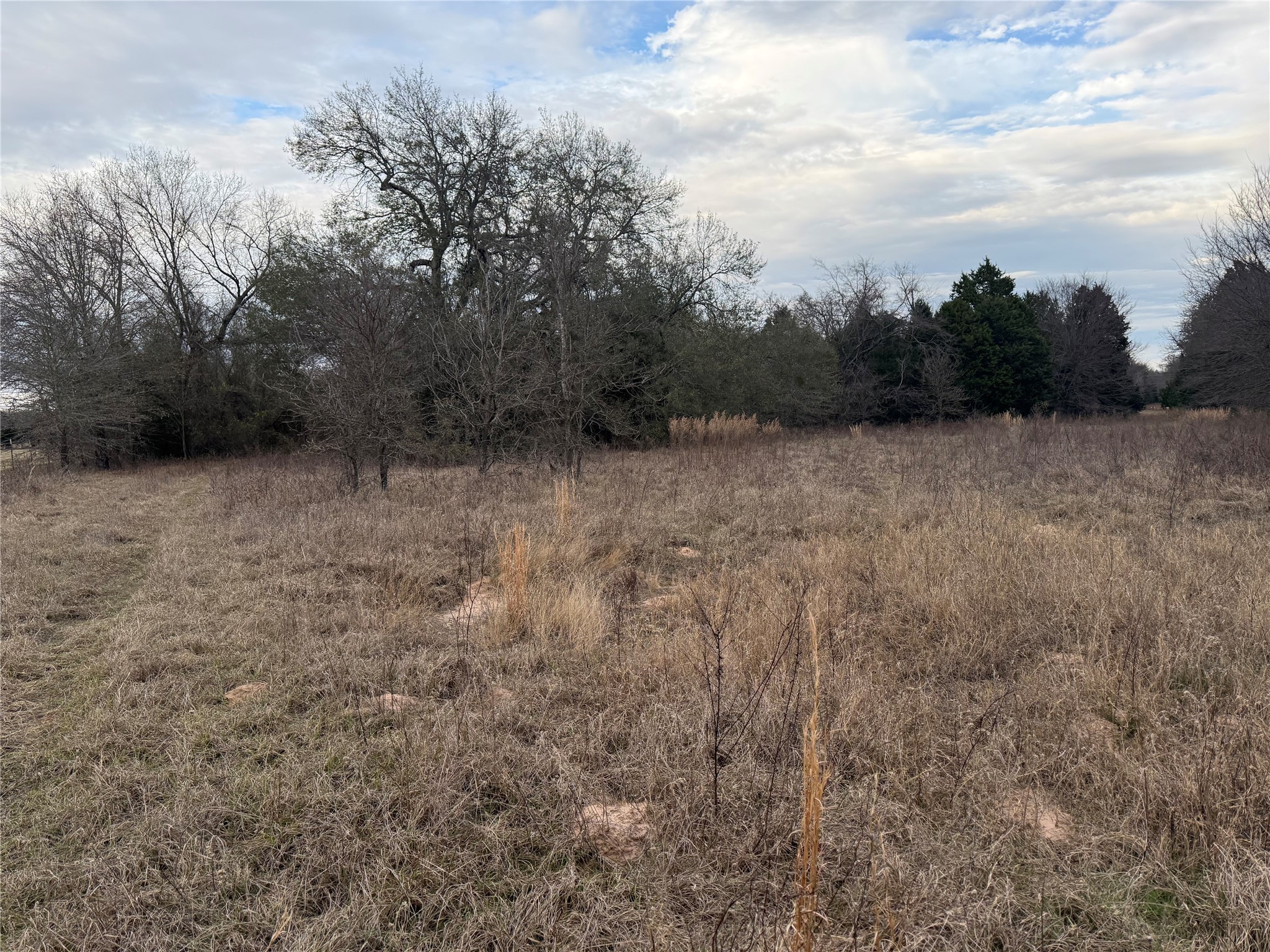 10230 PR 5403, Malakoff, TX, 75148