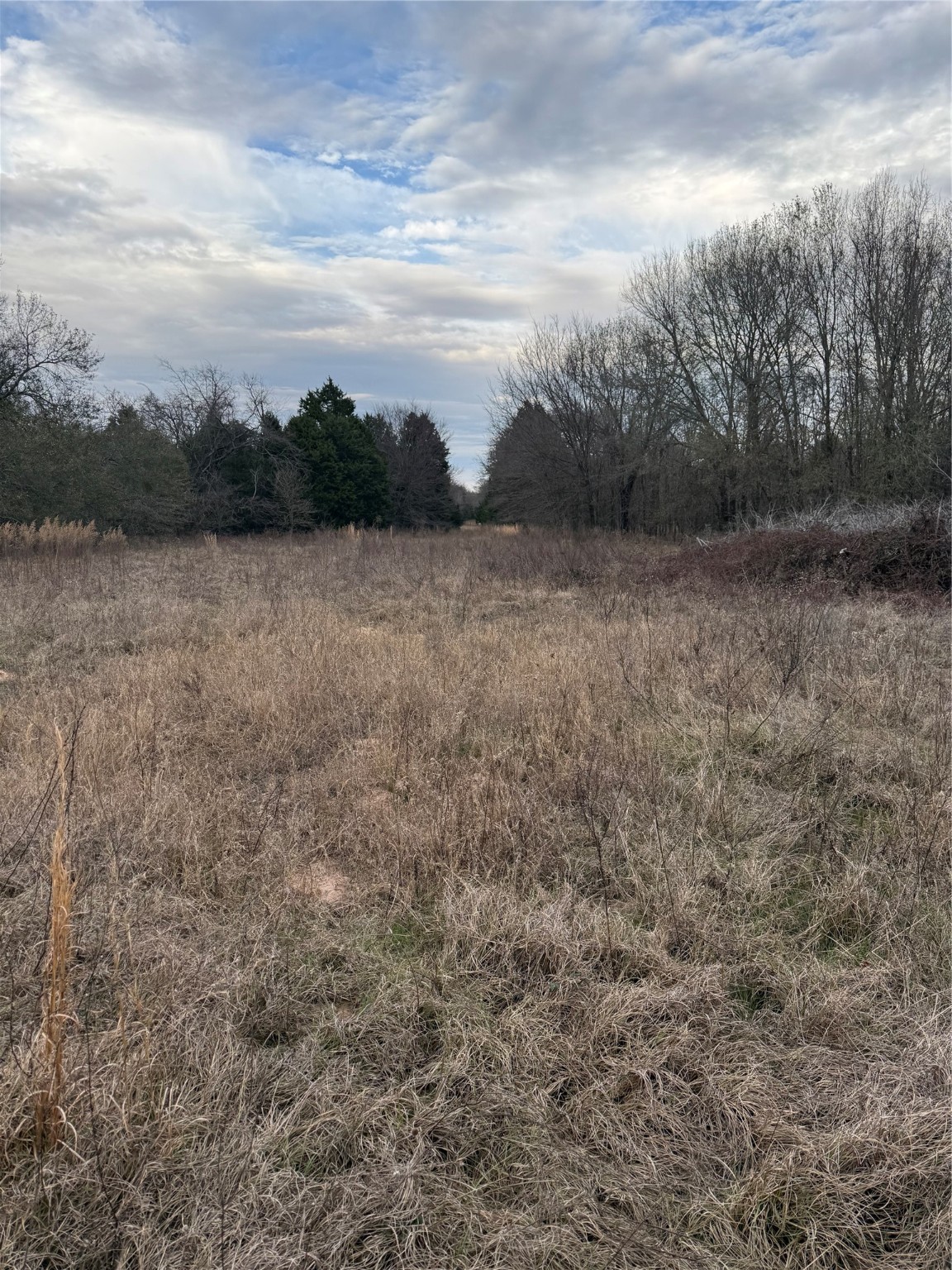 10230 PR 5403, Malakoff, TX, 75148