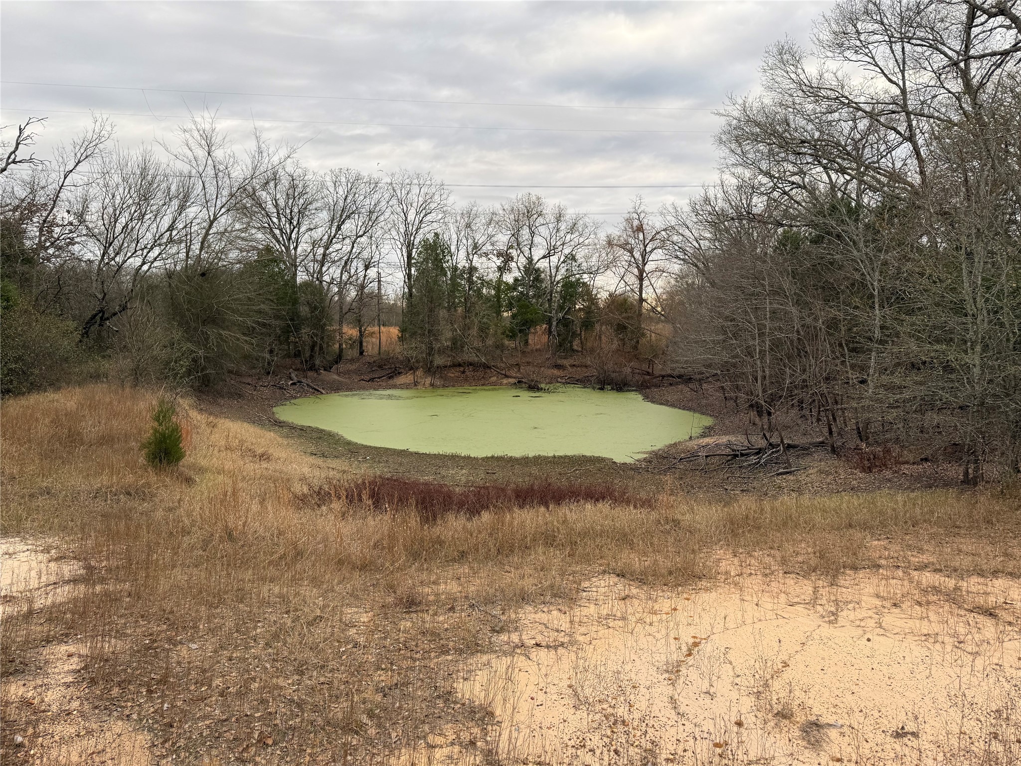 10230 PR 5403, Malakoff, TX, 75148