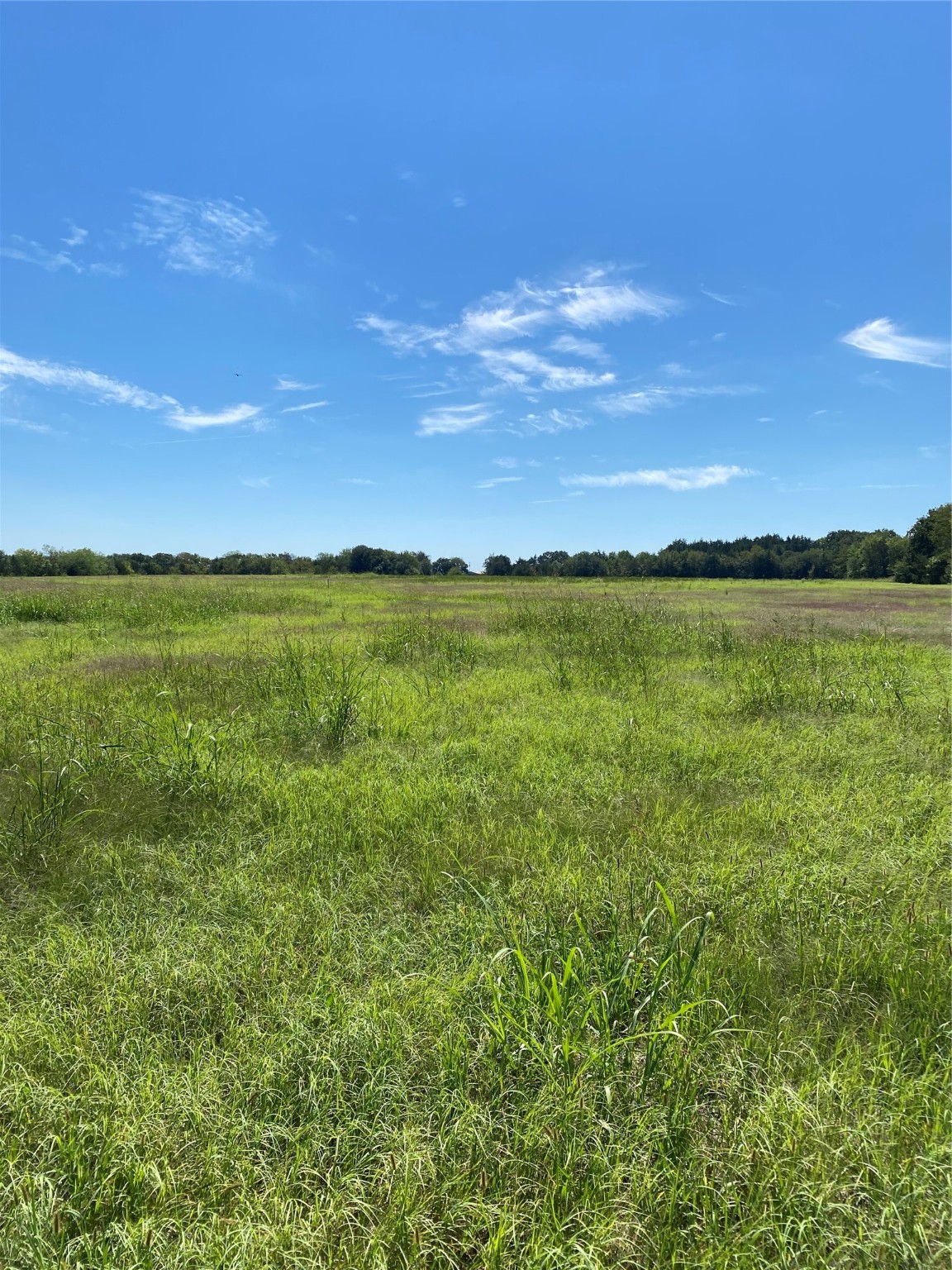 Lot 17 County Road 1126, Cumby, TX, 75433