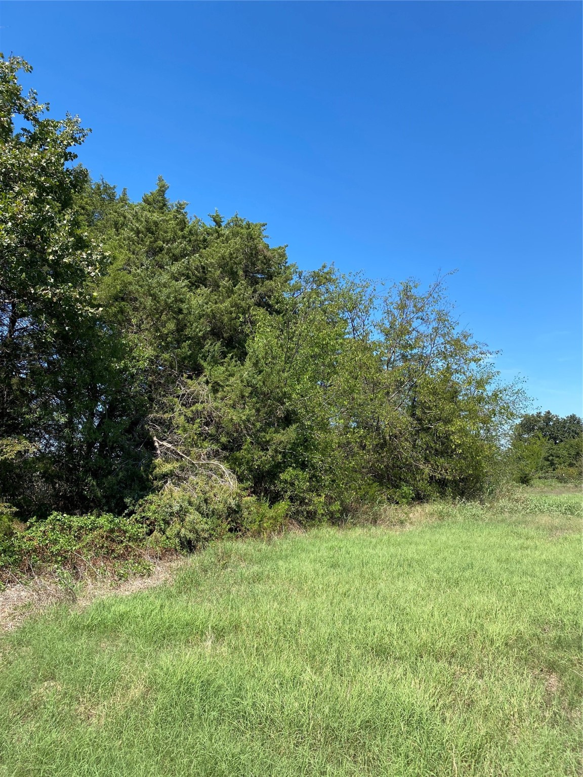 Lot 17 County Road 1126, Cumby, TX, 75433