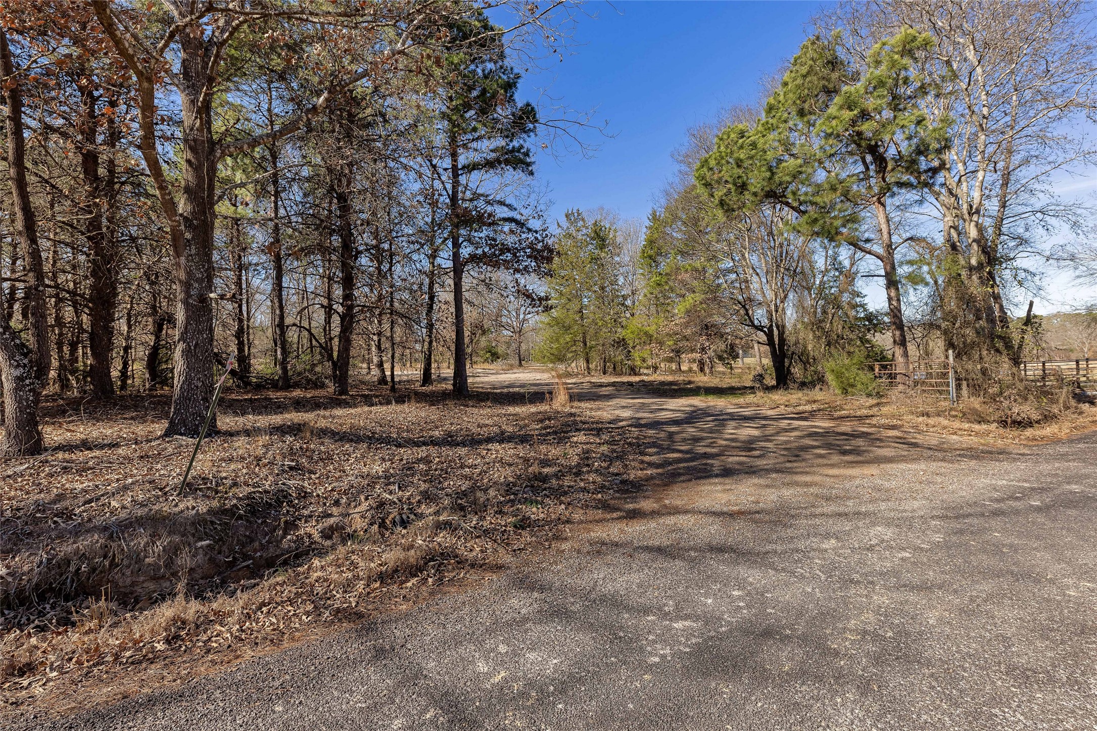 1884 SE County Road 4350, Scroggins, TX, 75480