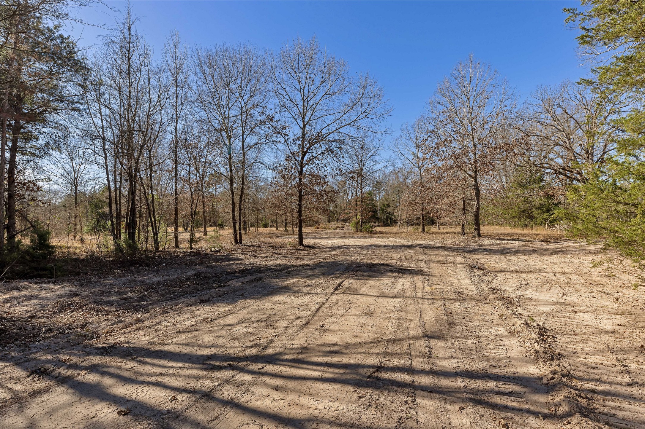 1884 SE County Road 4350, Scroggins, TX, 75480