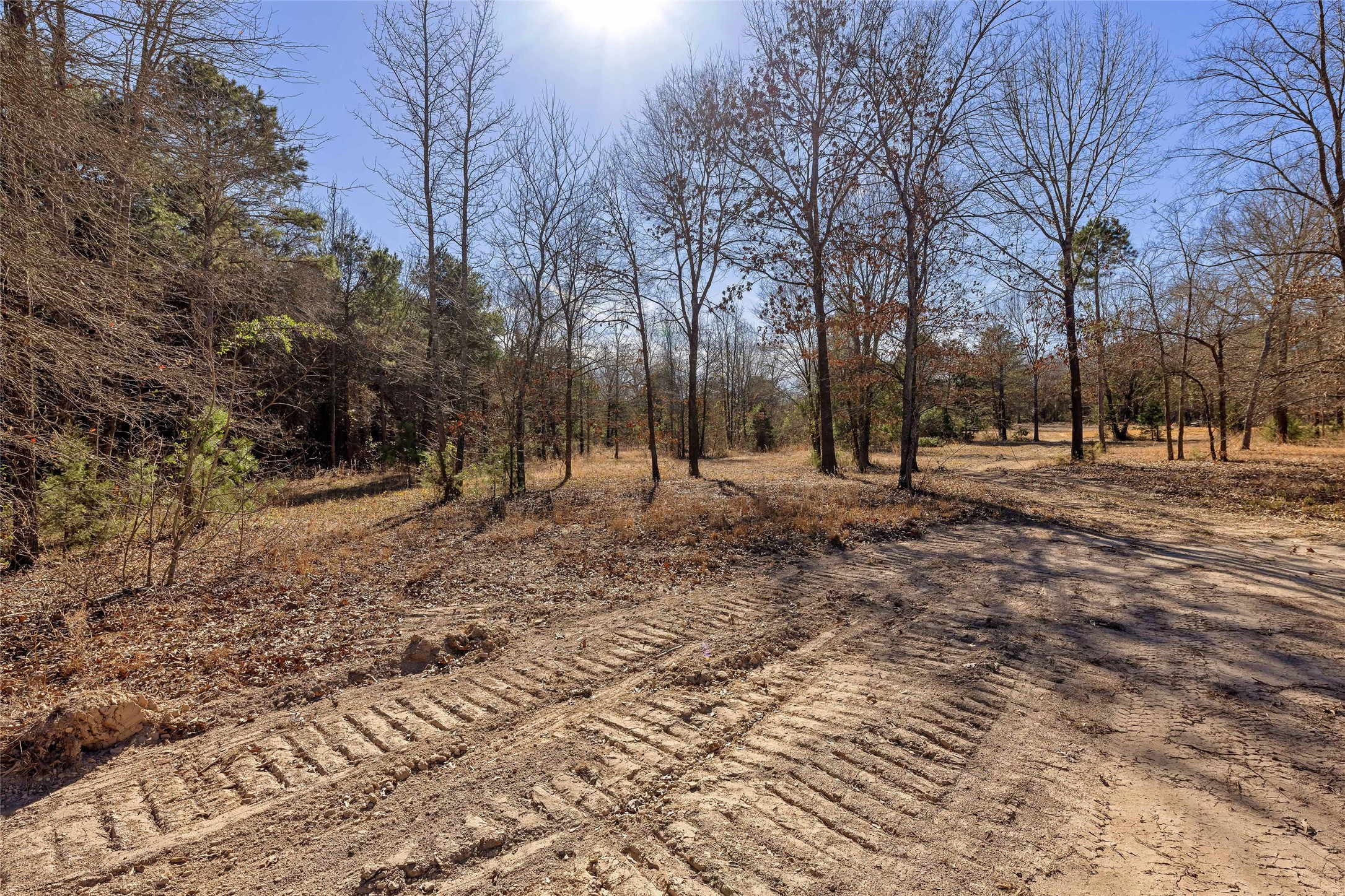 1884 SE County Road 4350, Scroggins, TX, 75480