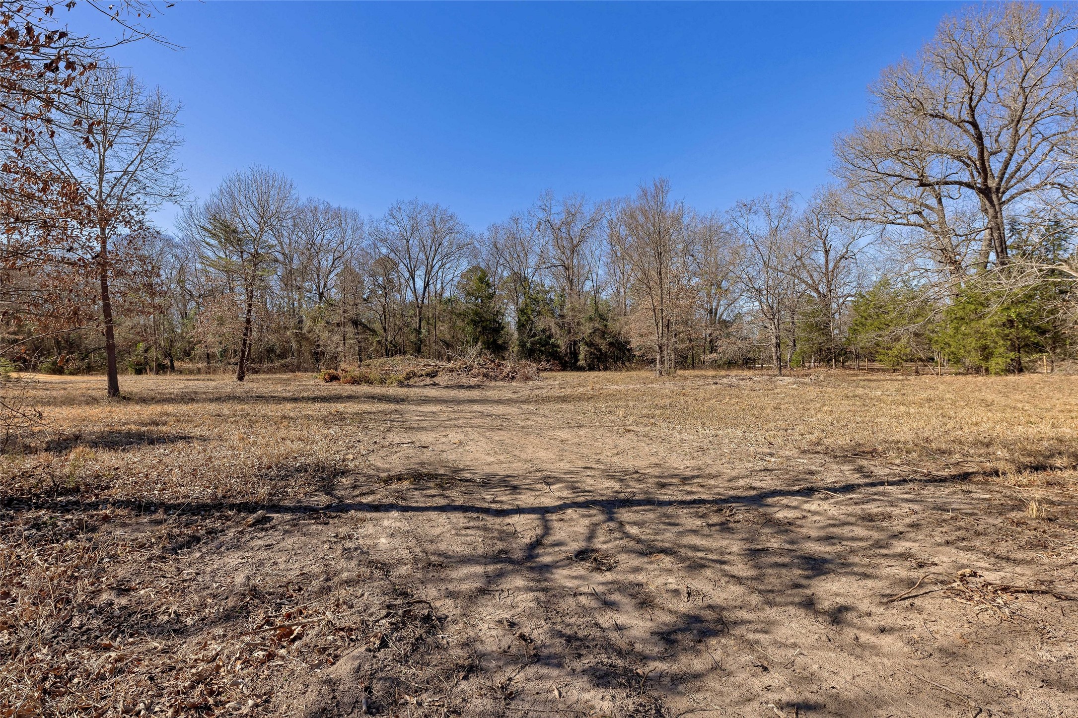 1884 SE County Road 4350, Scroggins, TX, 75480