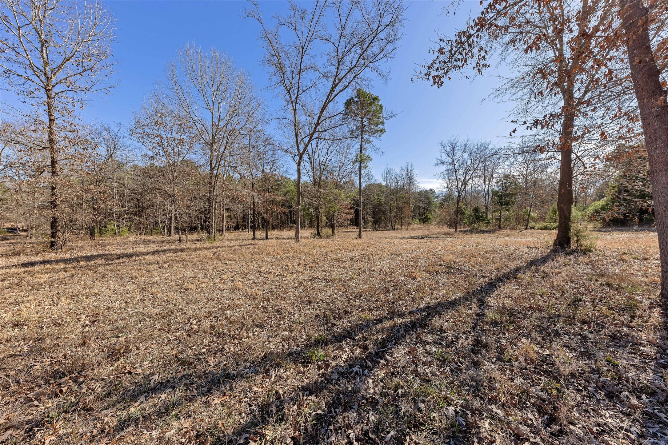 1884 SE County Road 4350, Scroggins, TX, 75480