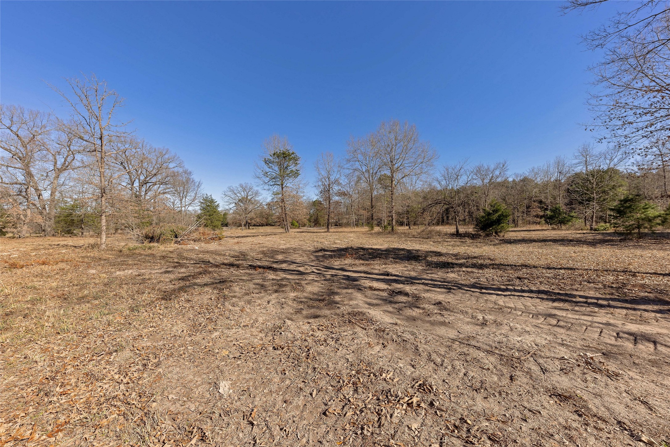 1884 SE County Road 4350, Scroggins, TX, 75480