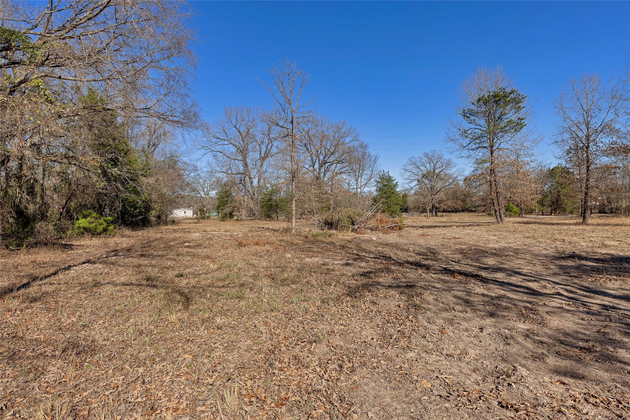 1884 SE County Road 4350, Scroggins, TX, 75480