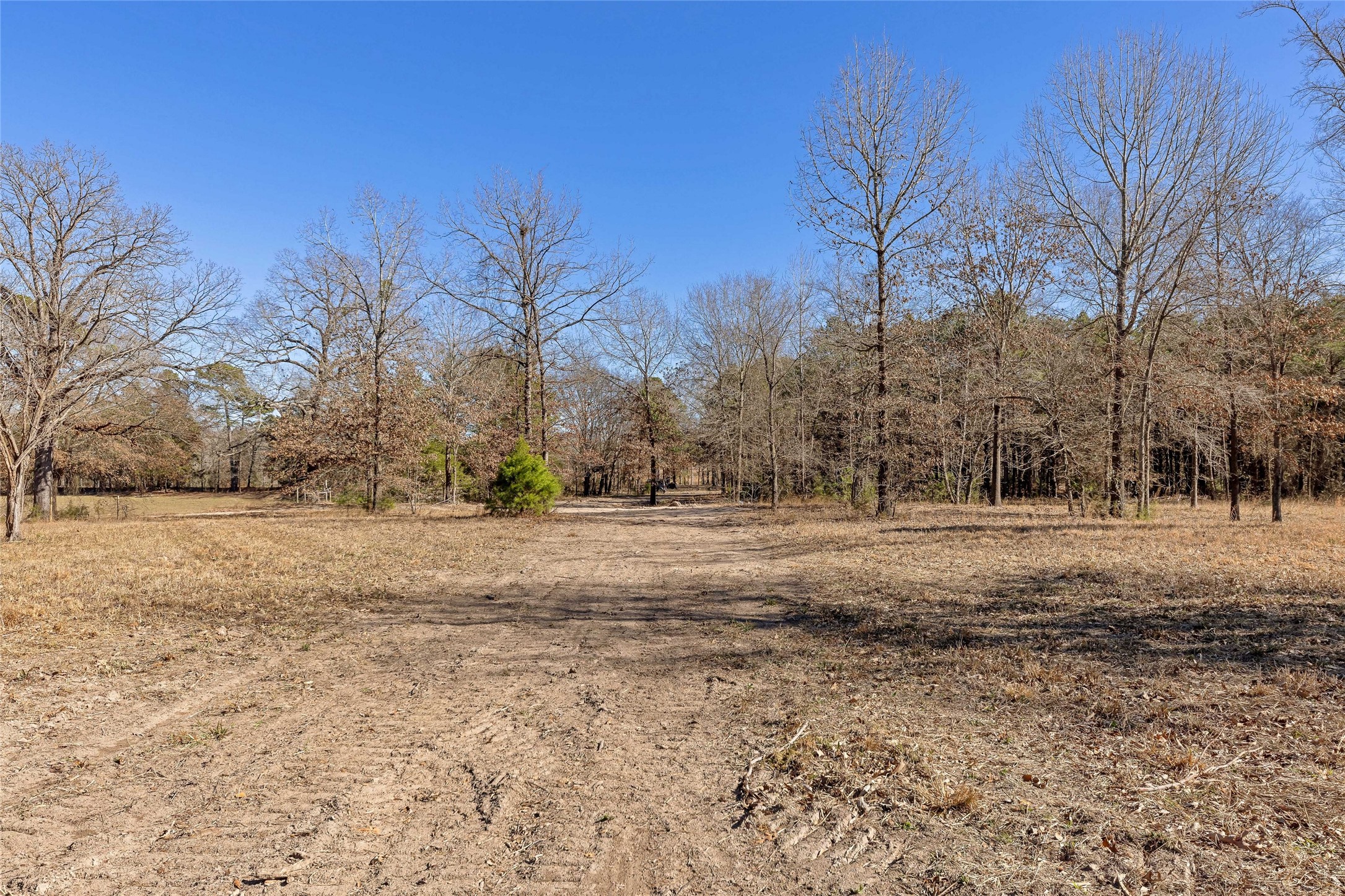 1884 SE County Road 4350, Scroggins, TX, 75480