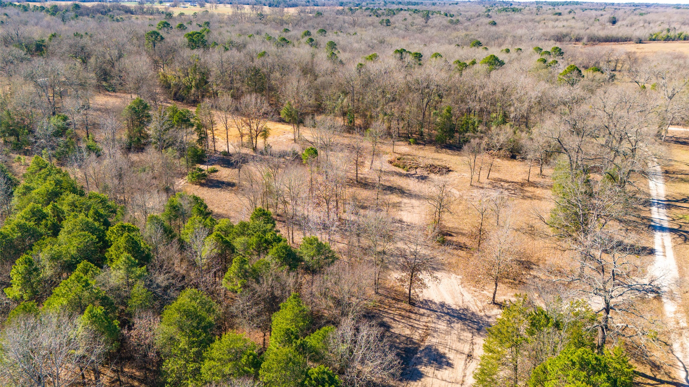 1884 SE County Road 4350, Scroggins, TX, 75480