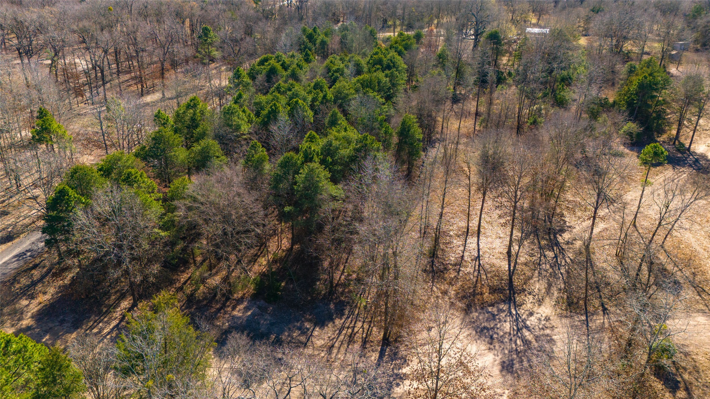 1884 SE County Road 4350, Scroggins, TX, 75480