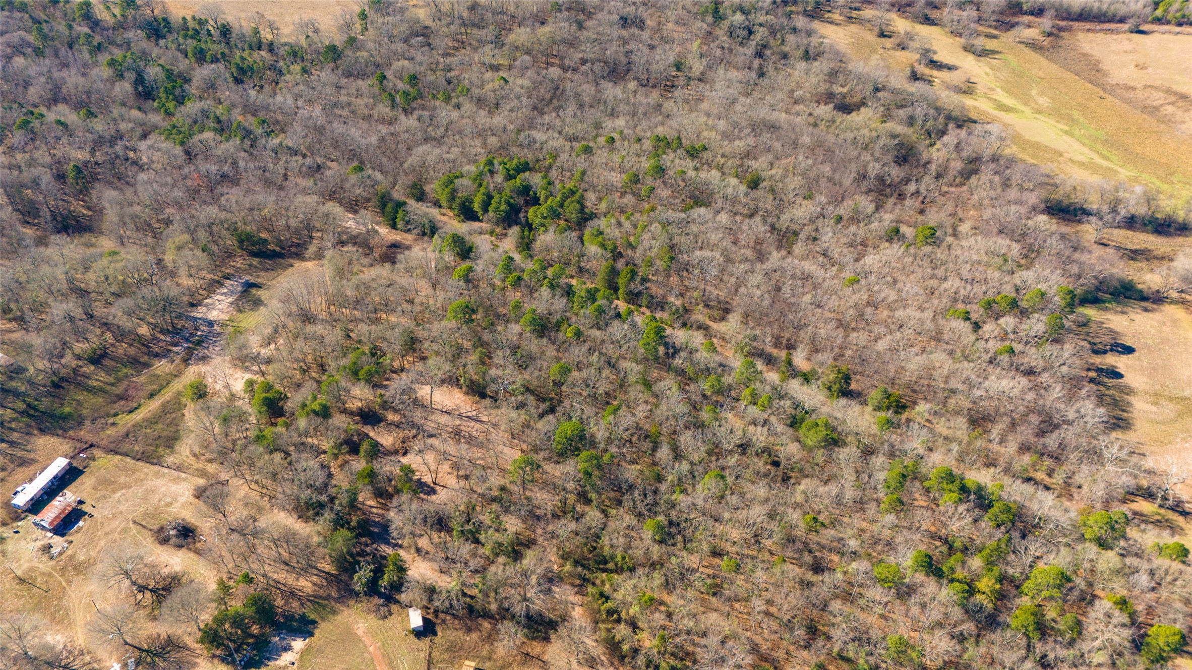 1884 SE County Road 4350, Scroggins, TX, 75480