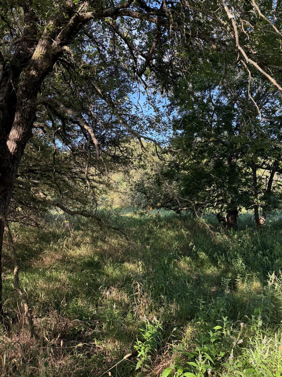 8801 Tx-59, Bowie, TX, 76230