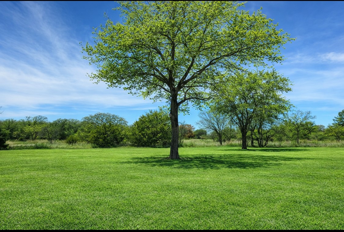 109 Pima Drive, Nocona, TX, 76255