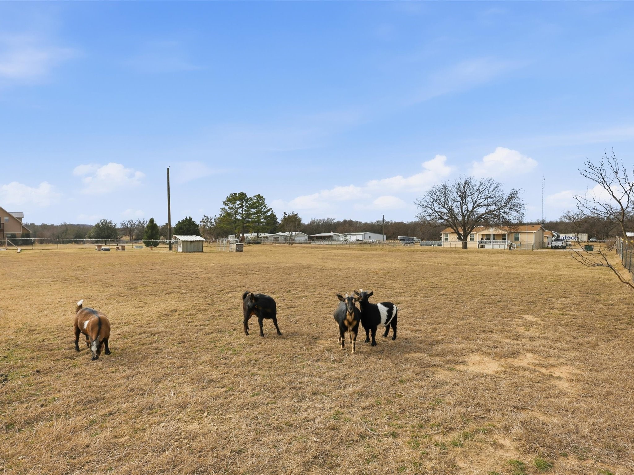 107 Private Road 3421, Bridgeport, TX, 76426