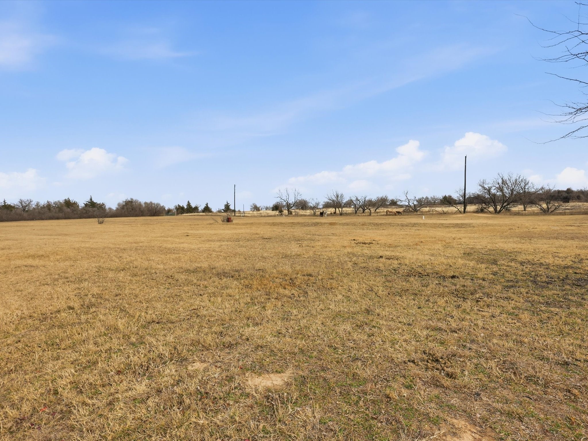 107 Private Road 3421, Bridgeport, TX, 76426