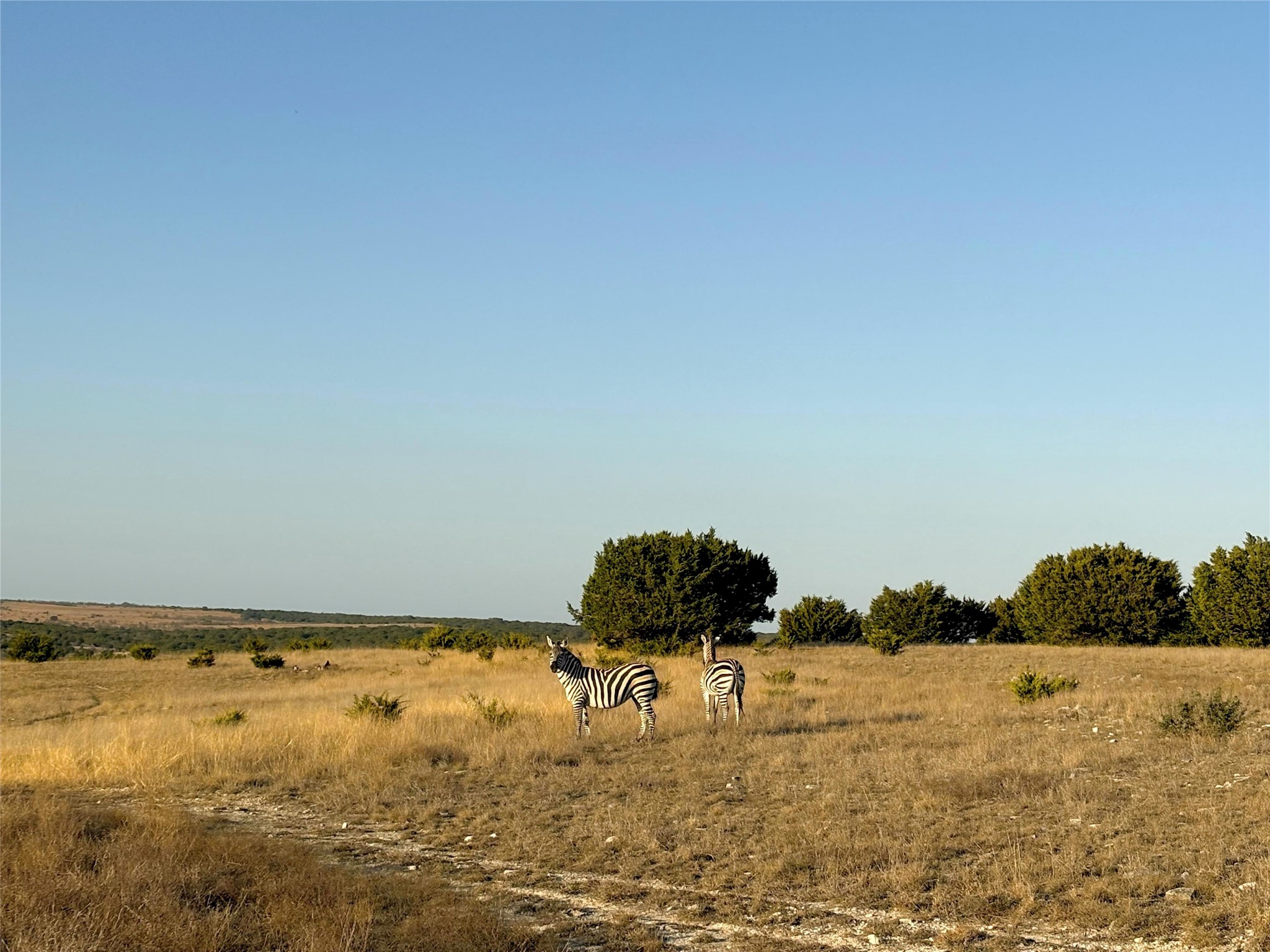 Property photo 03 of Tract 2 County Road 208, Lampasas, TX 76550 | MLS #21156626