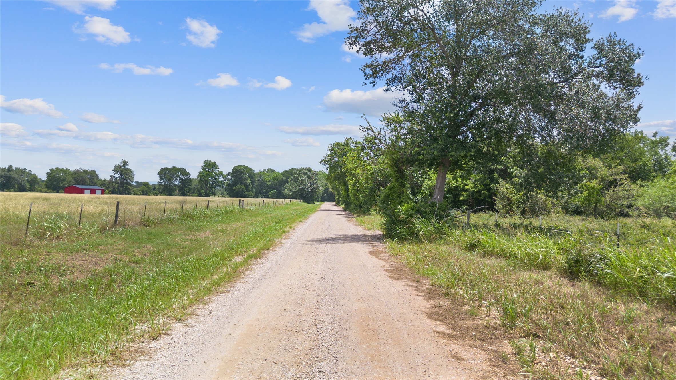 Property photo 03 of TBD (Tract 1) County Road 318, Caldwell, TX 77836 | MLS #21157274