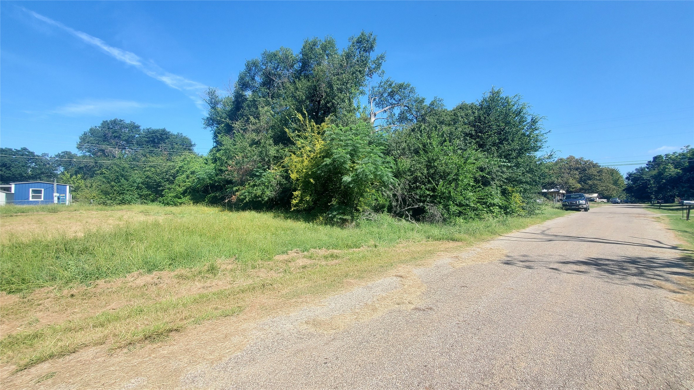 117 Osage Drive, Mabank, TX, 75156