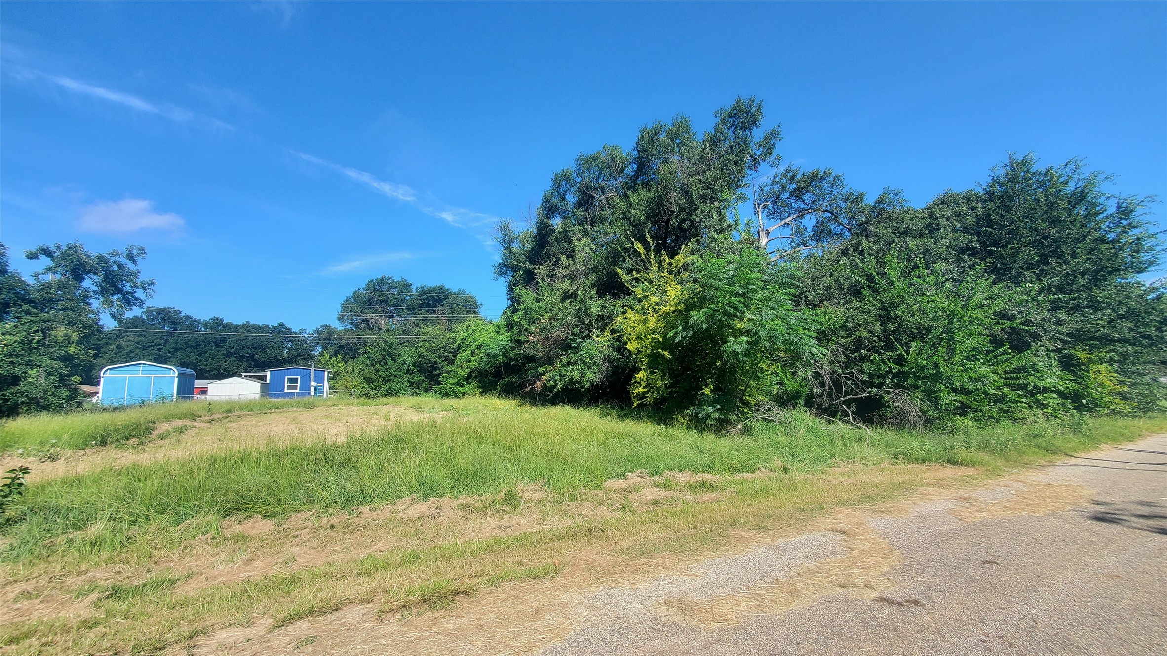 117 Osage Drive, Mabank, TX, 75156