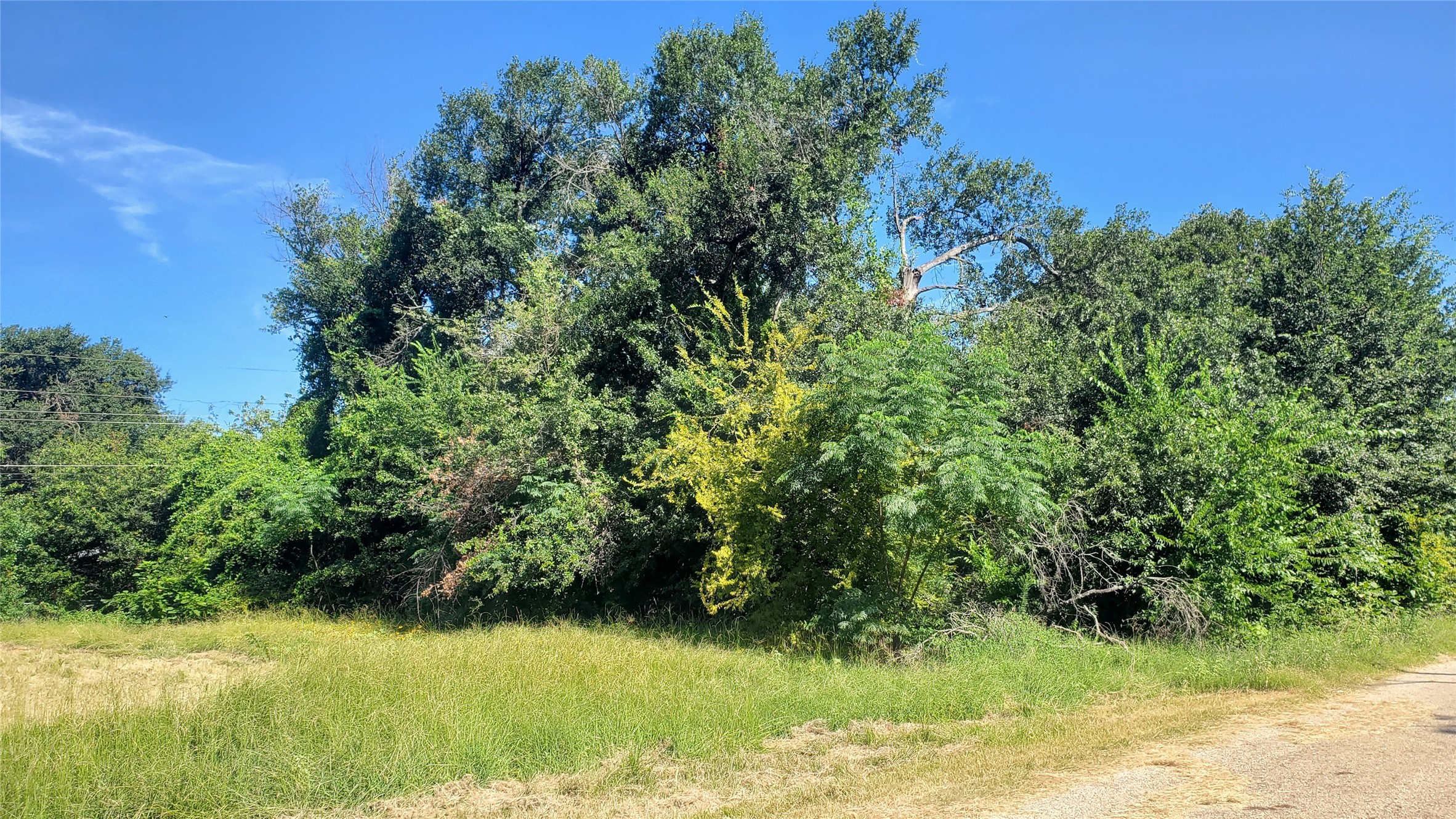 117 Osage Drive, Mabank, TX, 75156