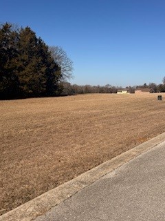 TBD Dublin Circle, Gordonville, TX, 76245