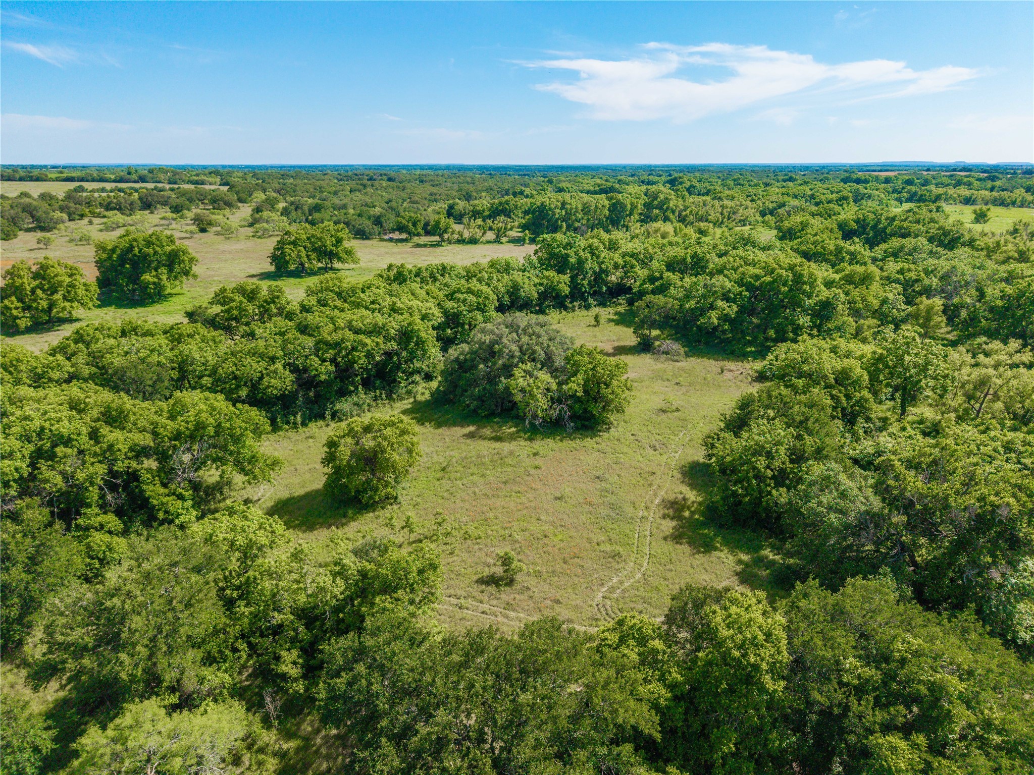 92.195 Acres TBD County Road 434, De Leon, TX, 76446
