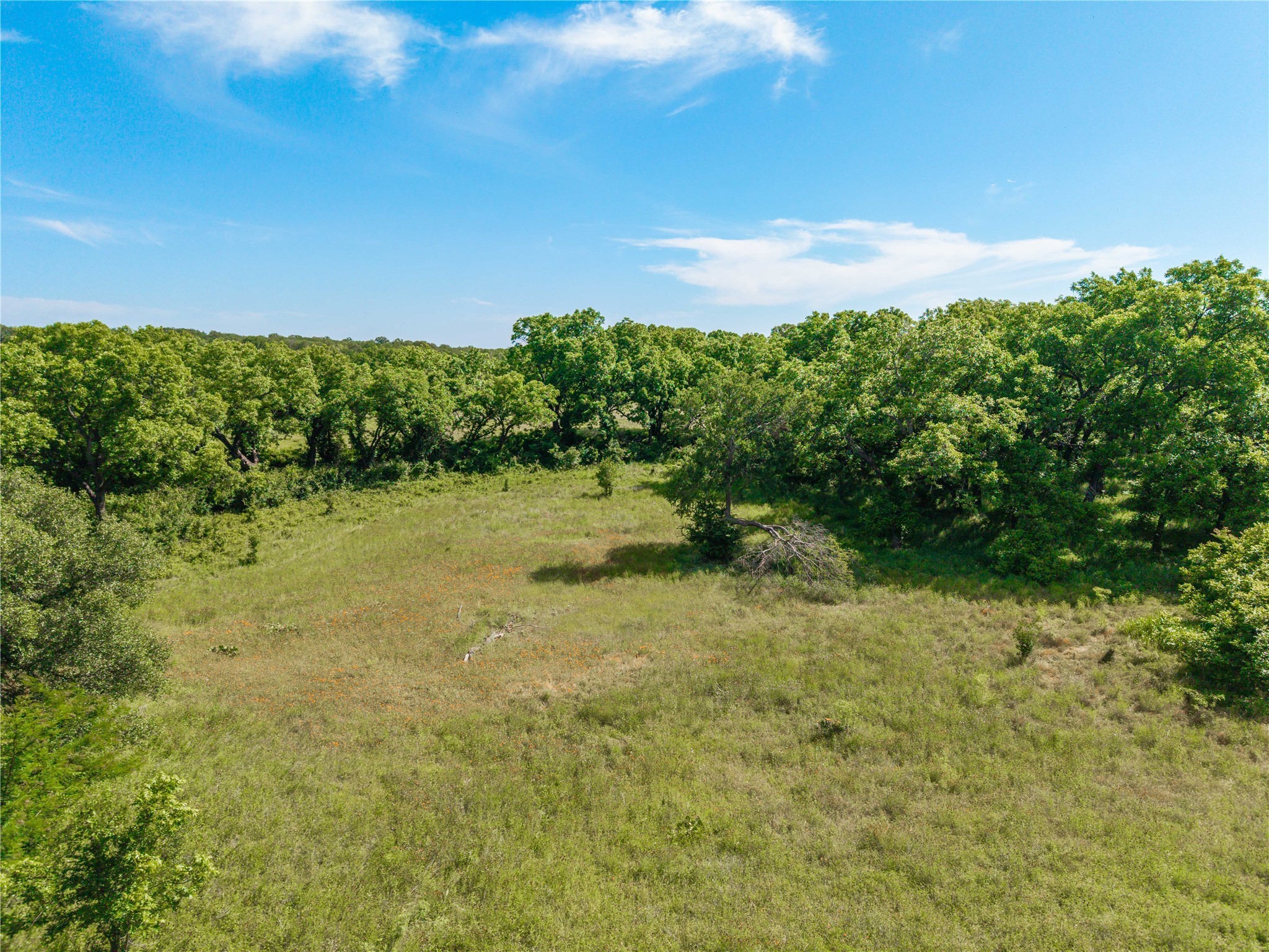 92.195 Acres TBD County Road 434, De Leon, TX, 76446