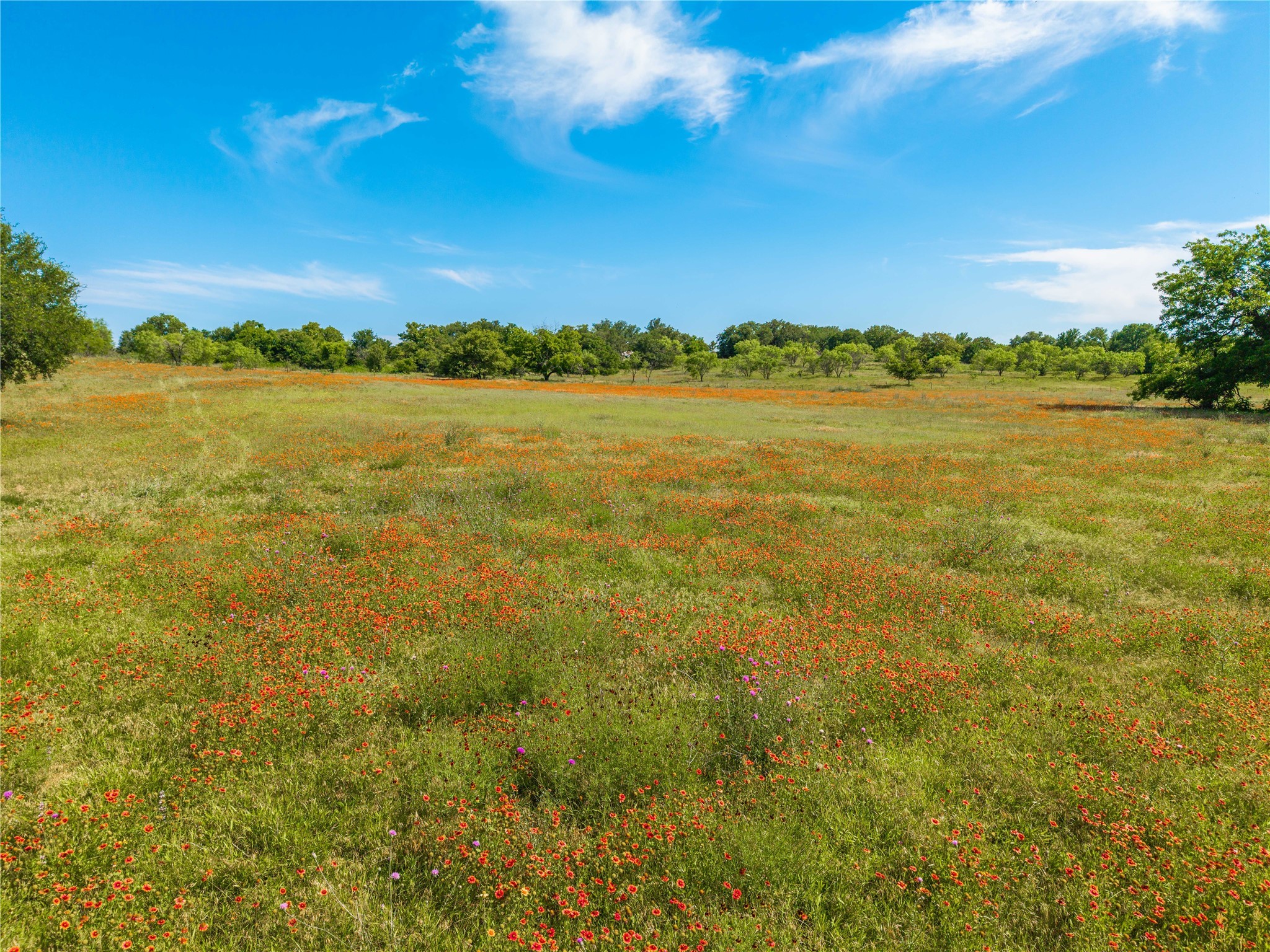 92.195 Acres TBD County Road 434, De Leon, TX, 76446