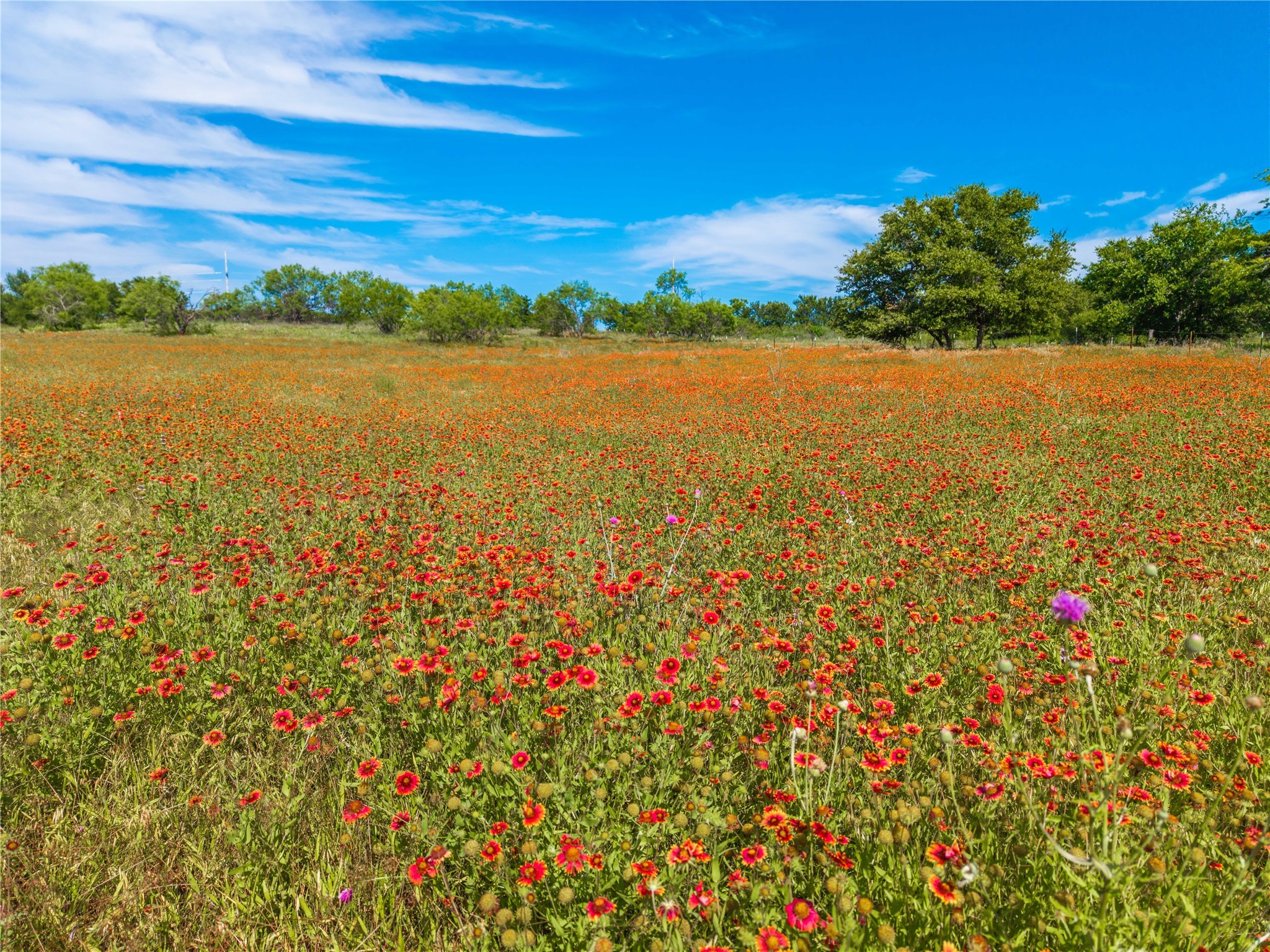 92.195 Acres TBD County Road 434, De Leon, TX, 76446