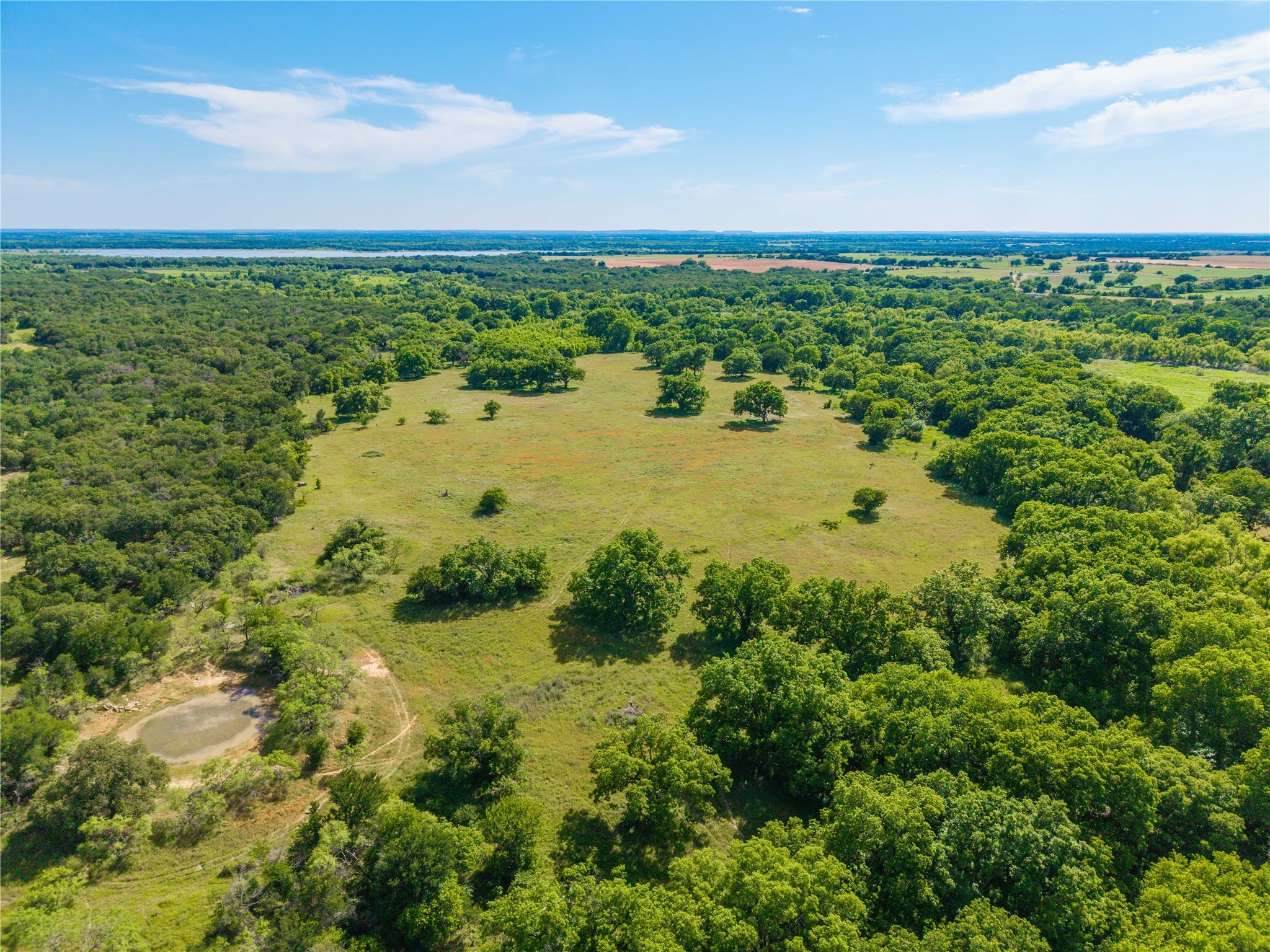 92.195 Acres TBD County Road 434, De Leon, TX, 76446
