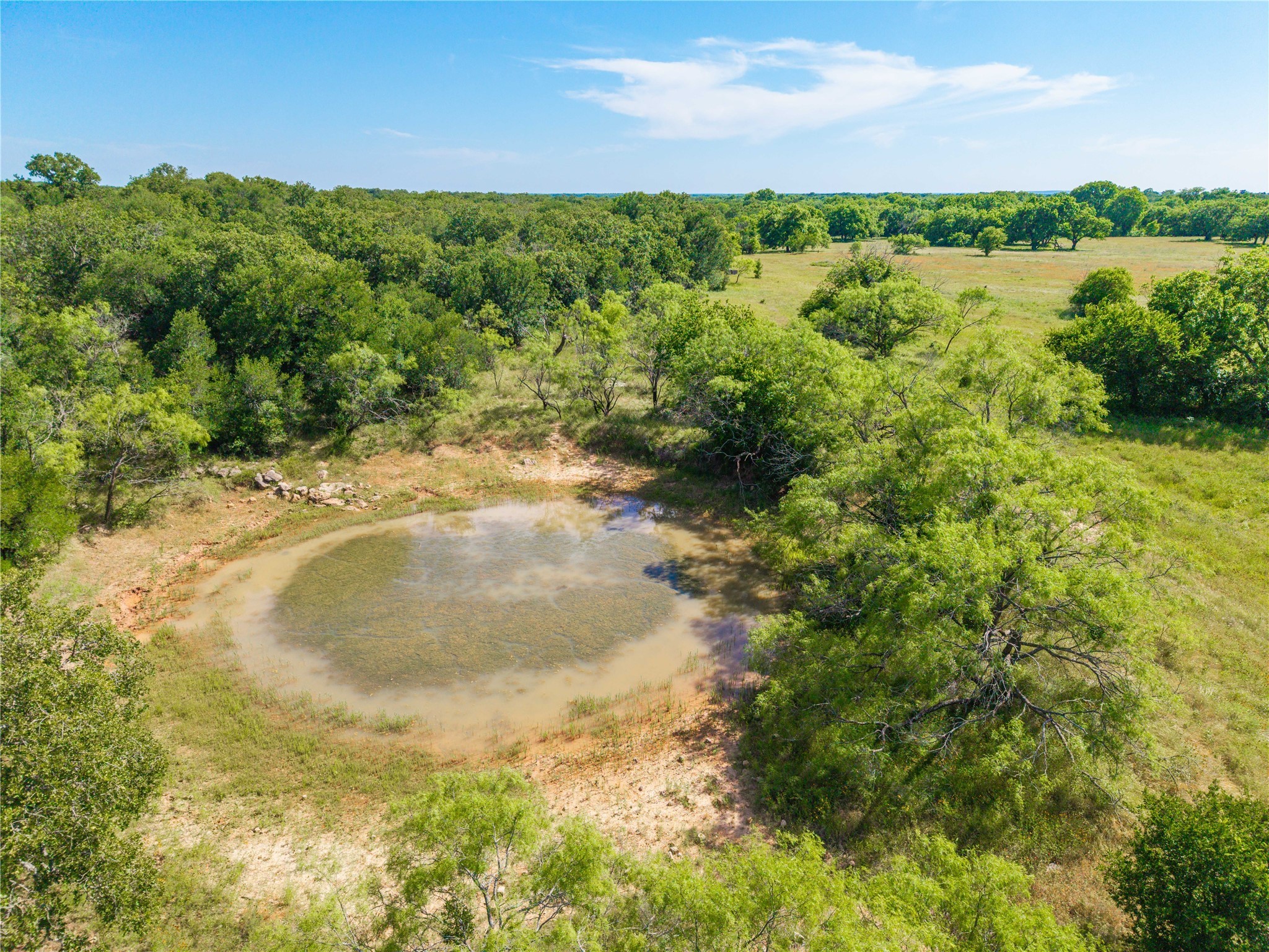92.195 Acres TBD County Road 434, De Leon, TX, 76446
