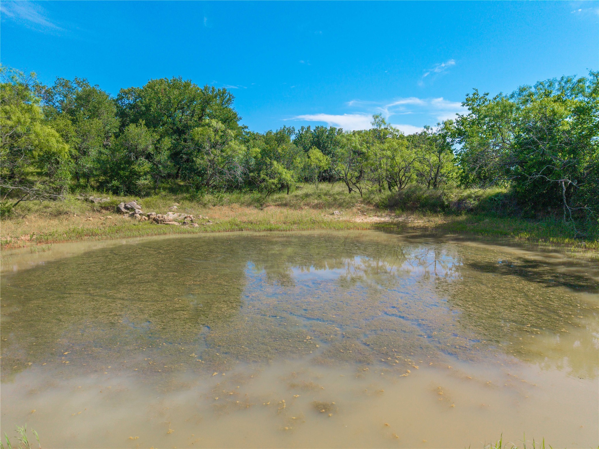 92.195 Acres TBD County Road 434, De Leon, TX, 76446