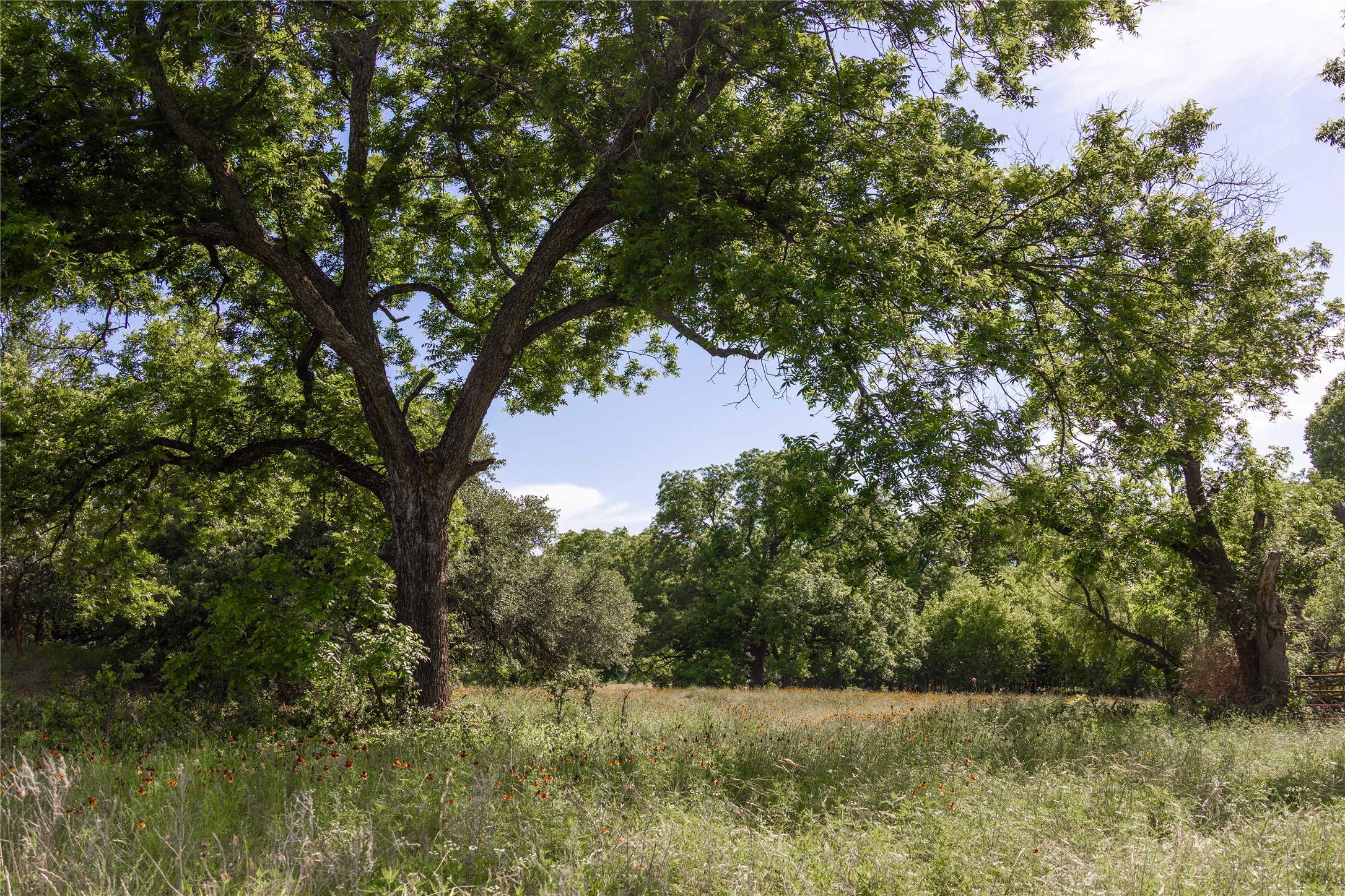 92.195 Acres TBD County Road 434, De Leon, TX, 76446