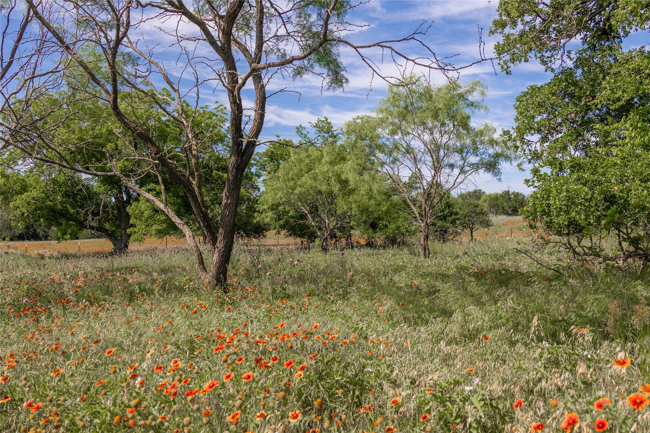 92.195 Acres TBD County Road 434, De Leon, TX, 76446